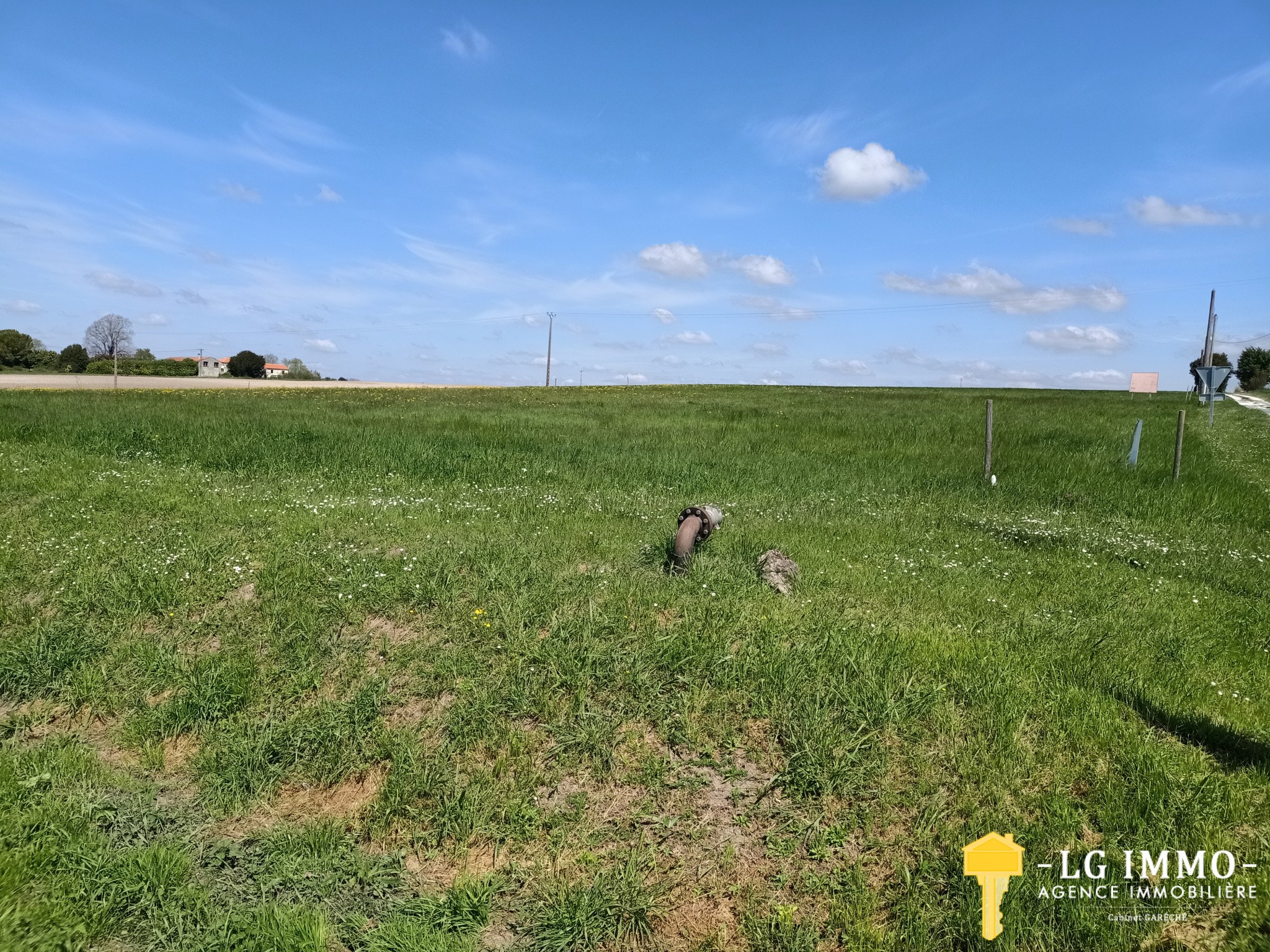 Vente Terrain à Saint-Ciers-du-Taillon 0 pièce