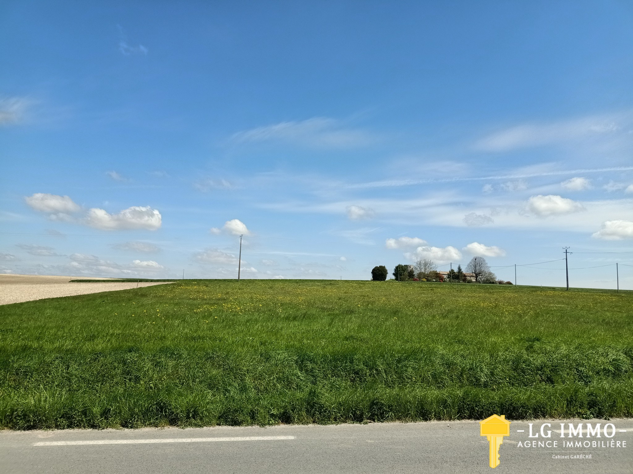 Vente Terrain à Saint-Ciers-du-Taillon 0 pièce