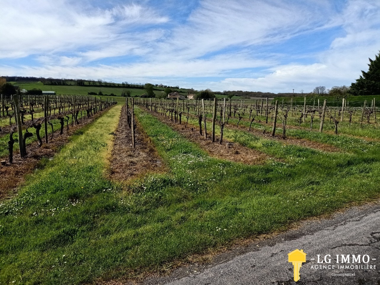 Vente Terrain à Saint-Ciers-du-Taillon 0 pièce