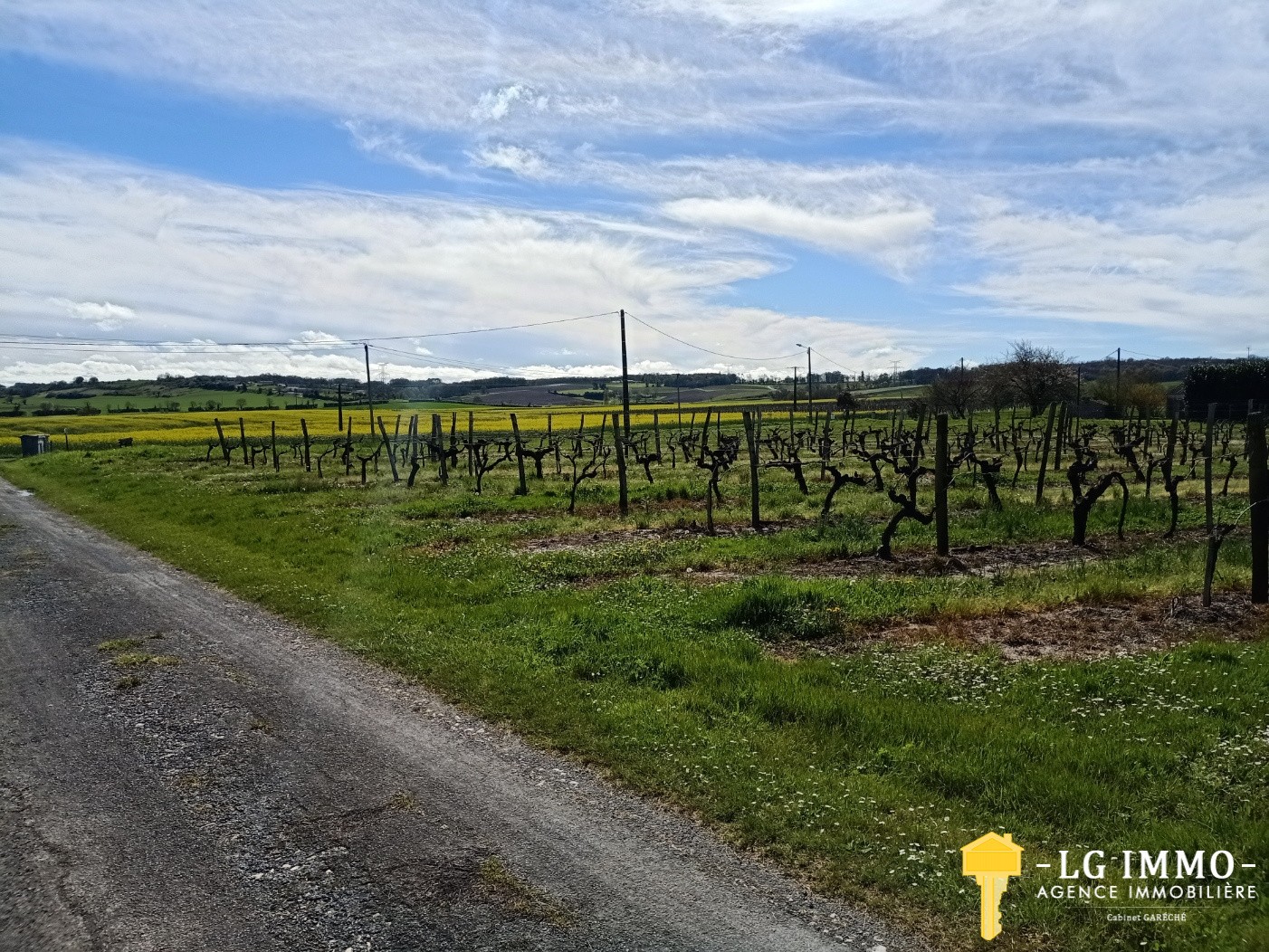 Vente Terrain à Saint-Ciers-du-Taillon 0 pièce