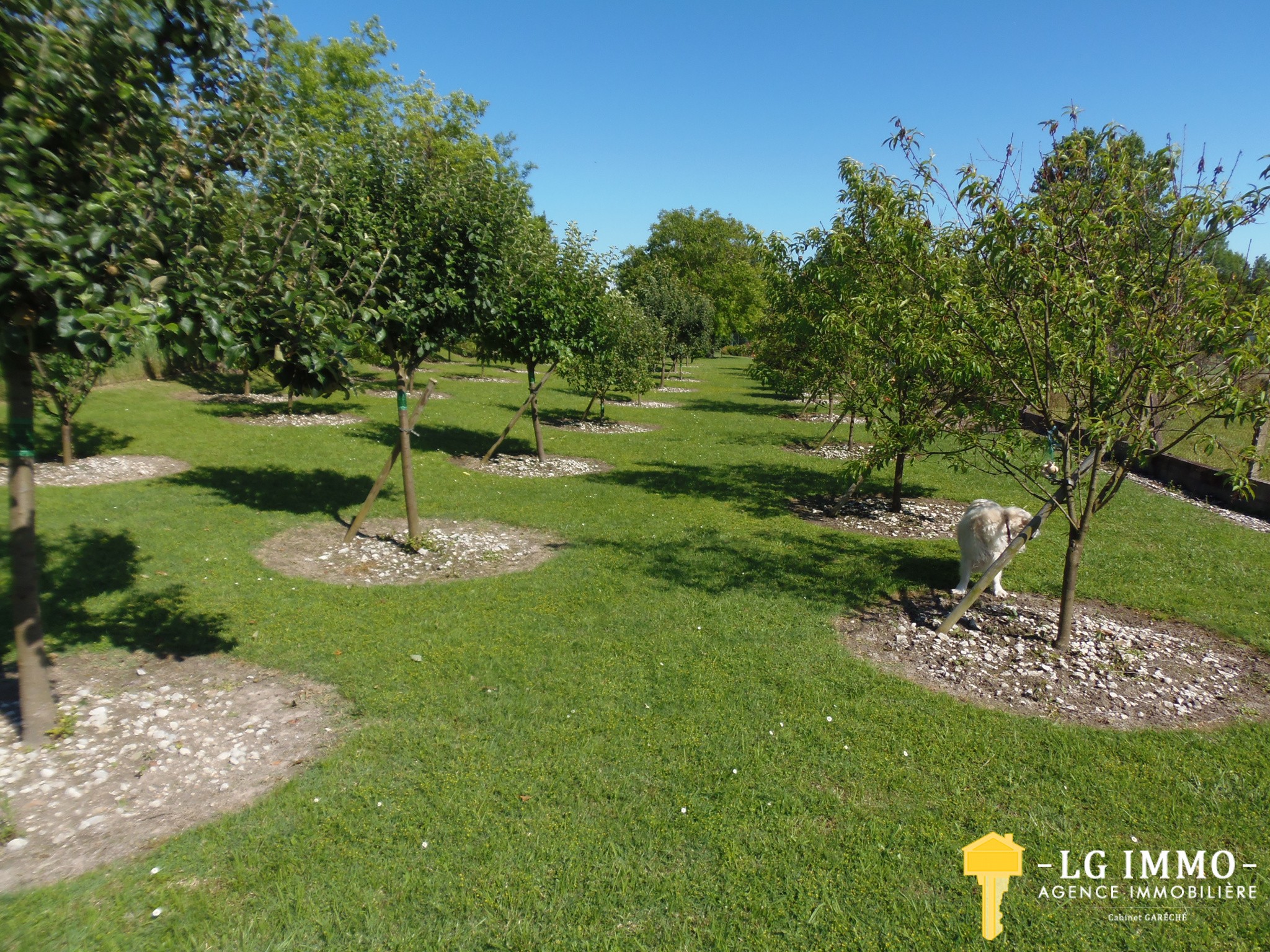 Vente Maison à Chenac-Saint-Seurin-d'Uzet 4 pièces