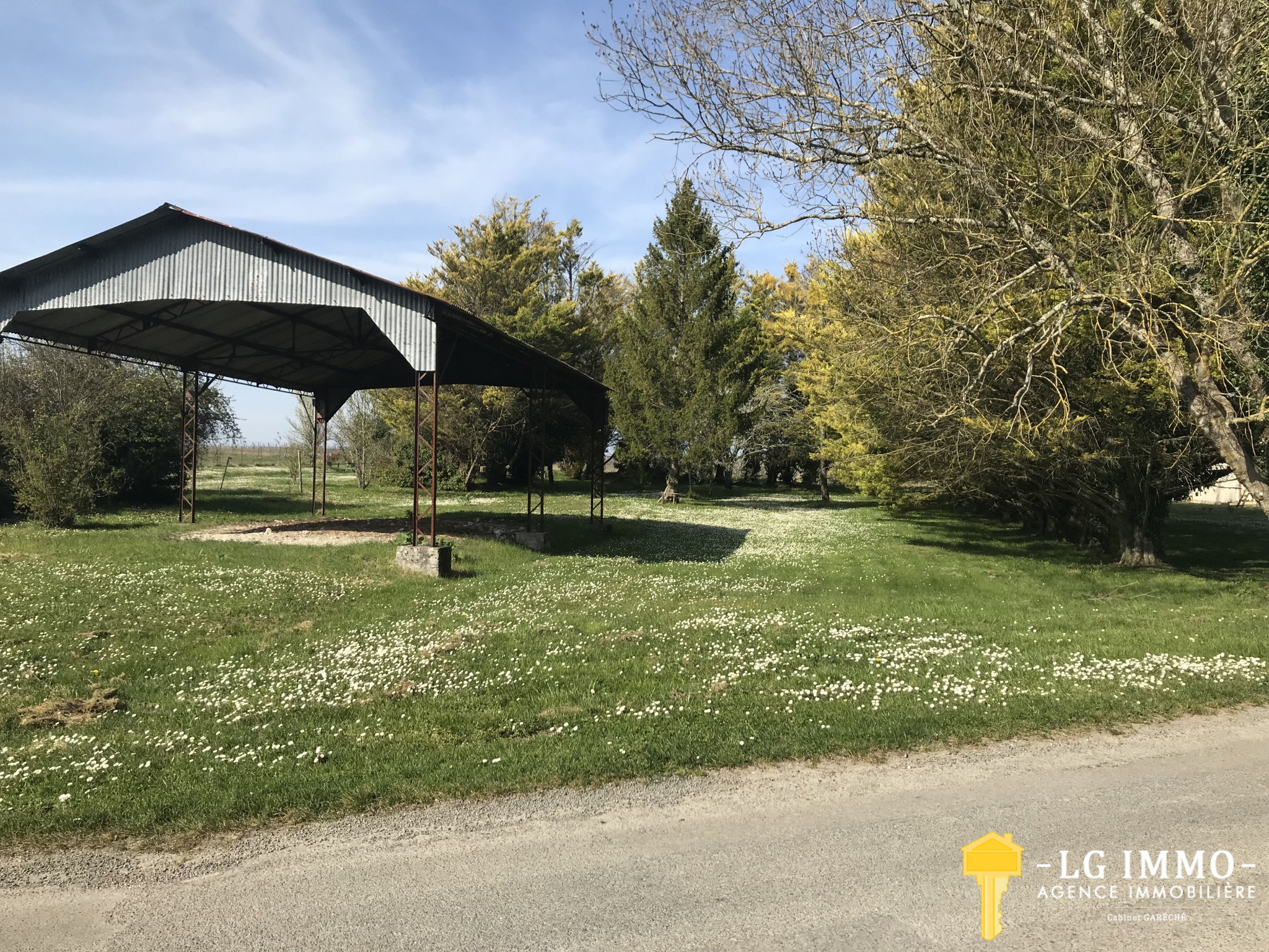 Vente Terrain à Saint-Ciers-du-Taillon 0 pièce