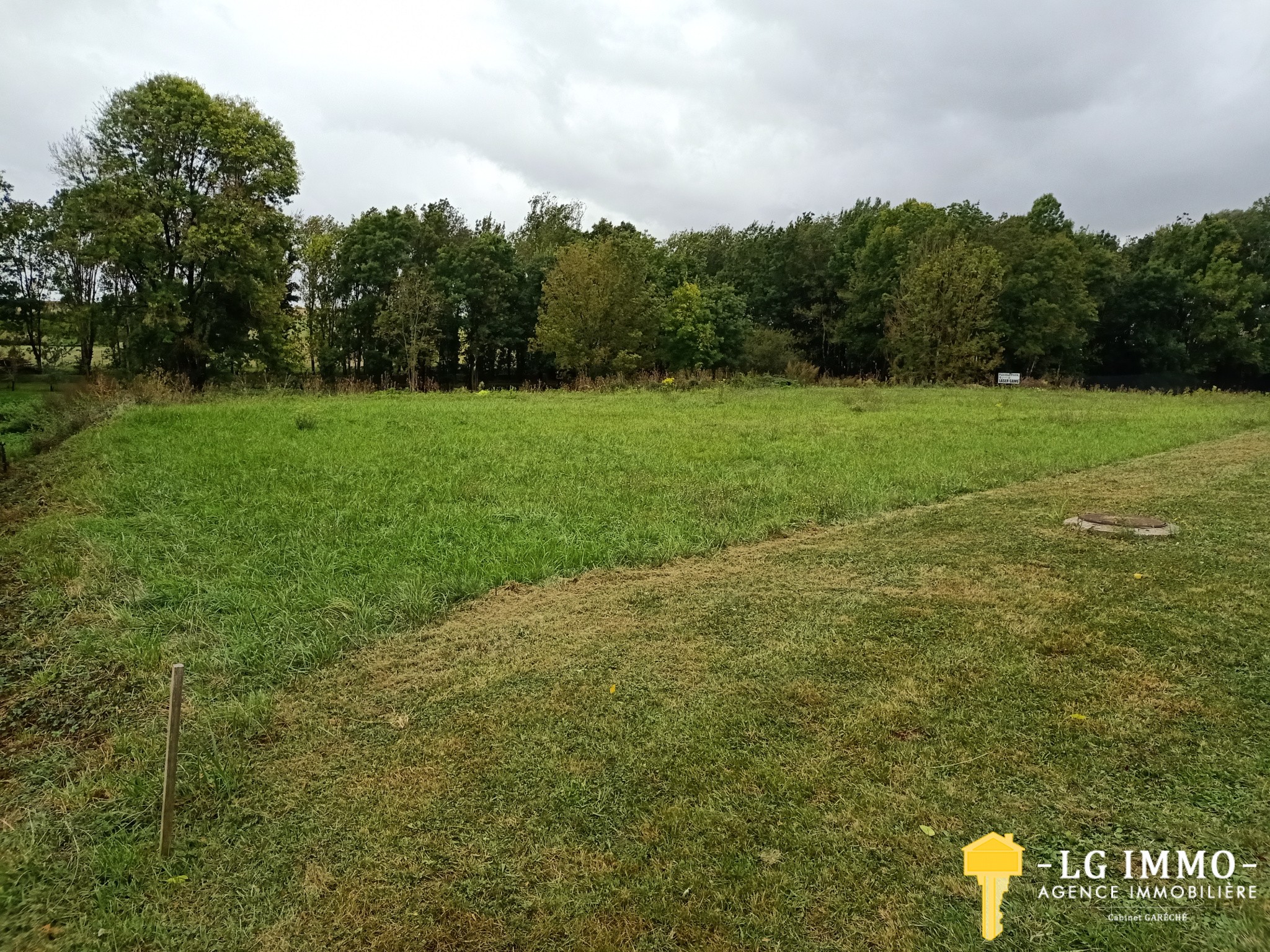 Vente Terrain à Saint-Ciers-du-Taillon 0 pièce