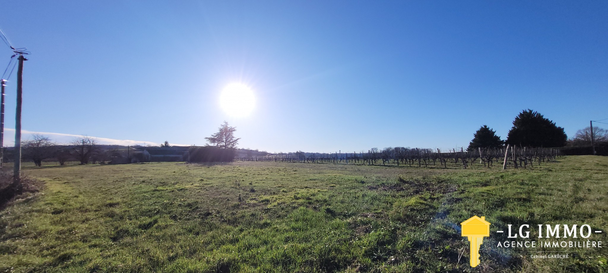 Vente Terrain à Saint-Ciers-du-Taillon 1 pièce