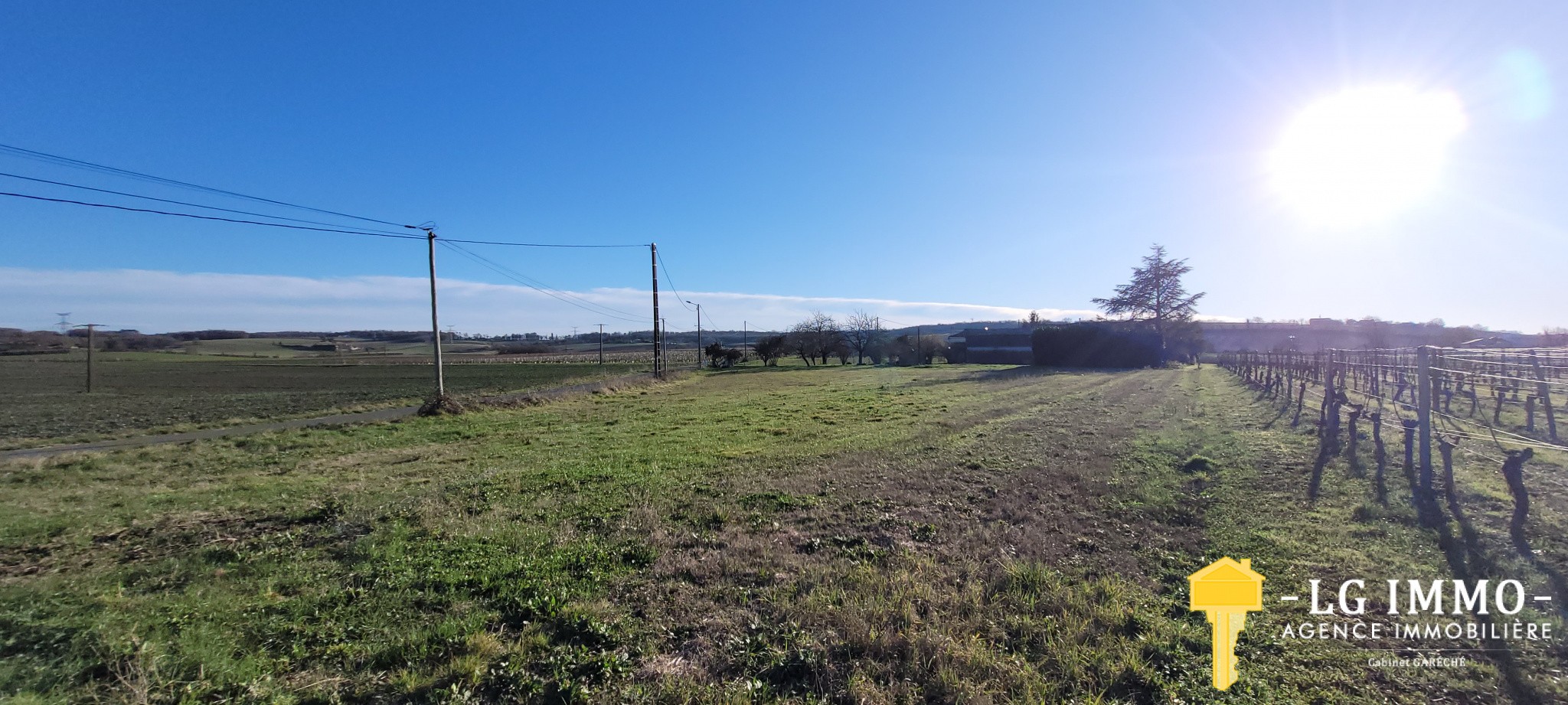 Vente Terrain à Saint-Ciers-du-Taillon 1 pièce