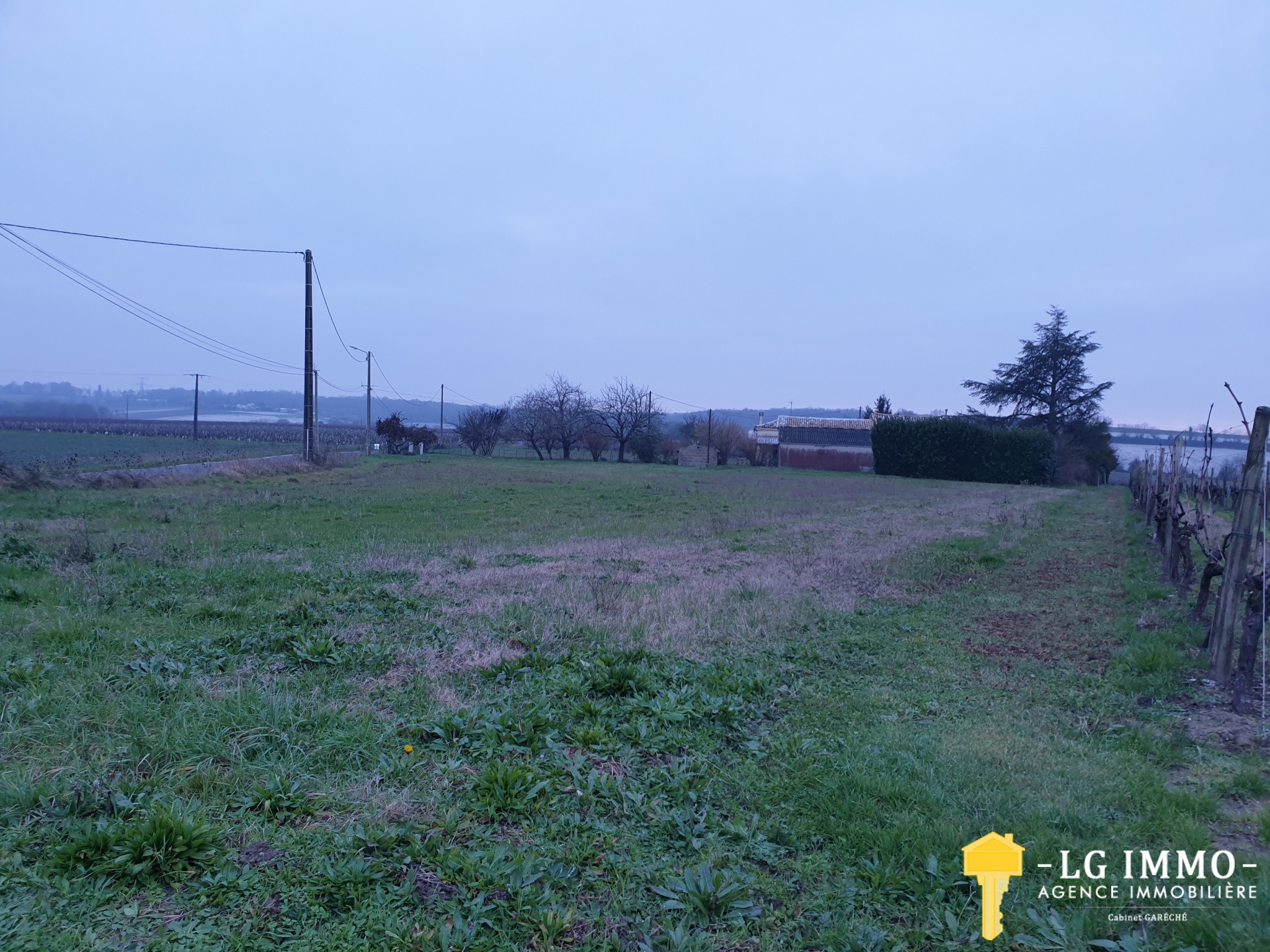 Vente Terrain à Saint-Ciers-du-Taillon 1 pièce