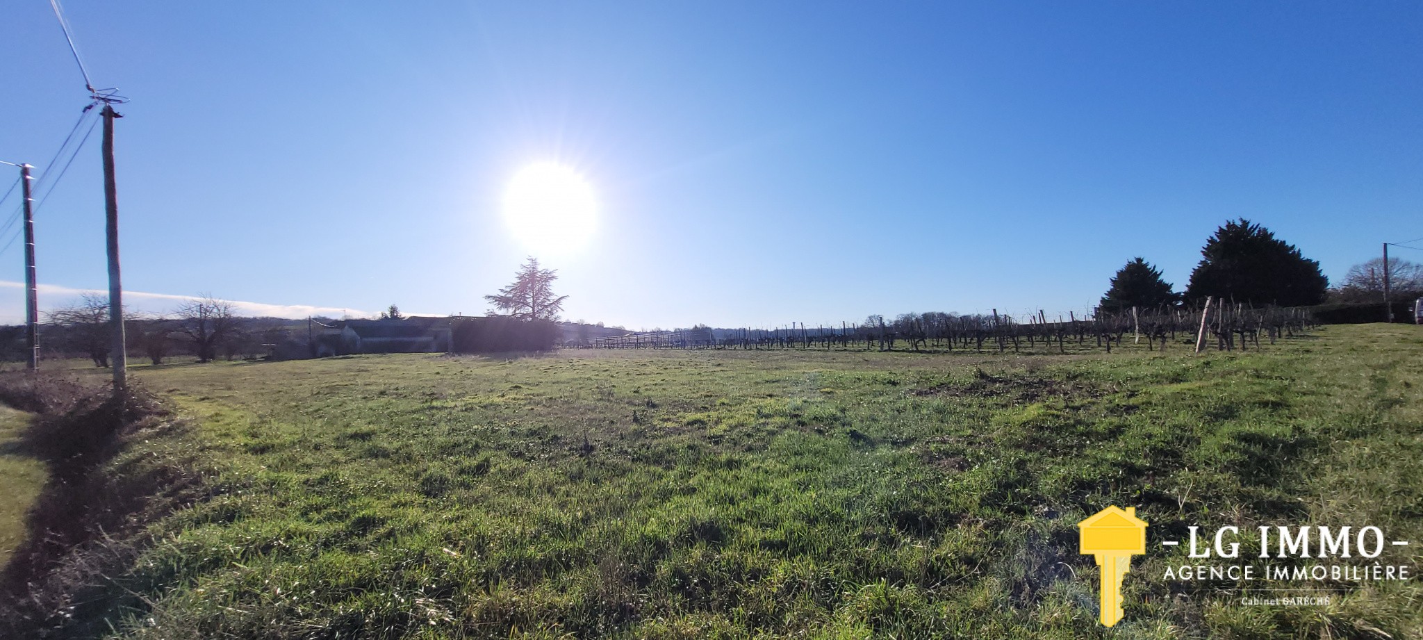 Vente Terrain à Saint-Ciers-du-Taillon 1 pièce