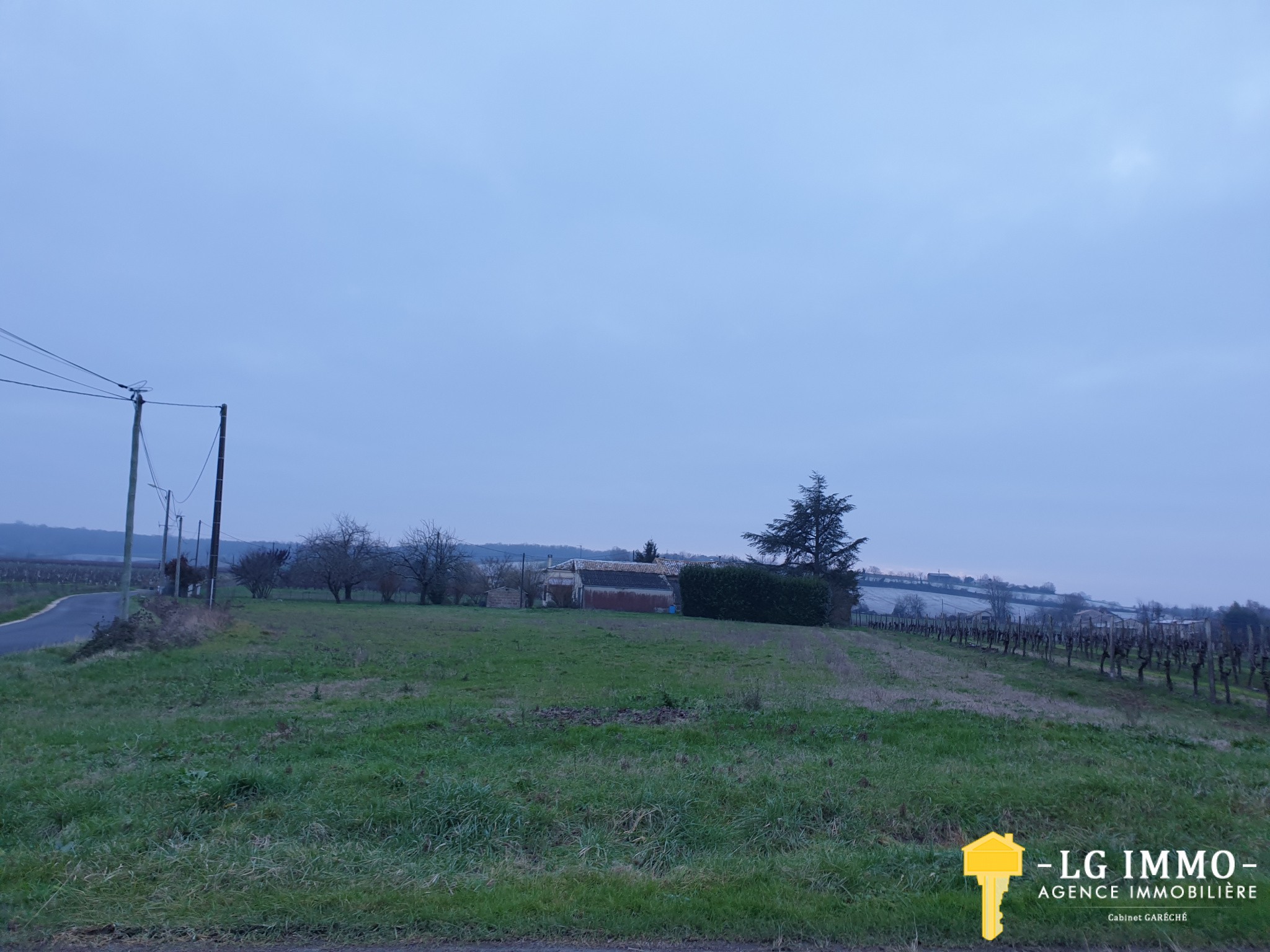 Vente Terrain à Saint-Ciers-du-Taillon 1 pièce