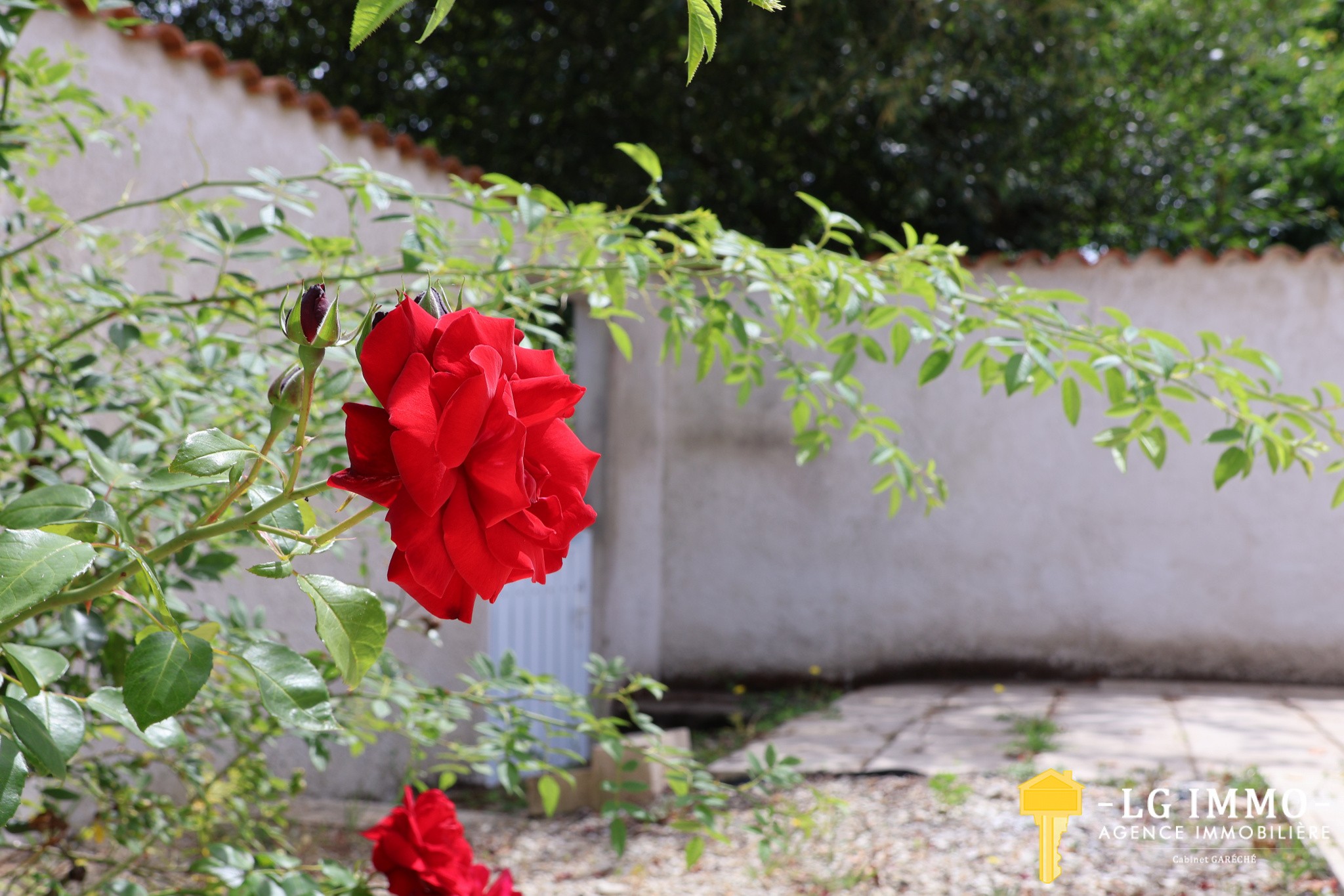 Vente Maison à Meschers-sur-Gironde 3 pièces