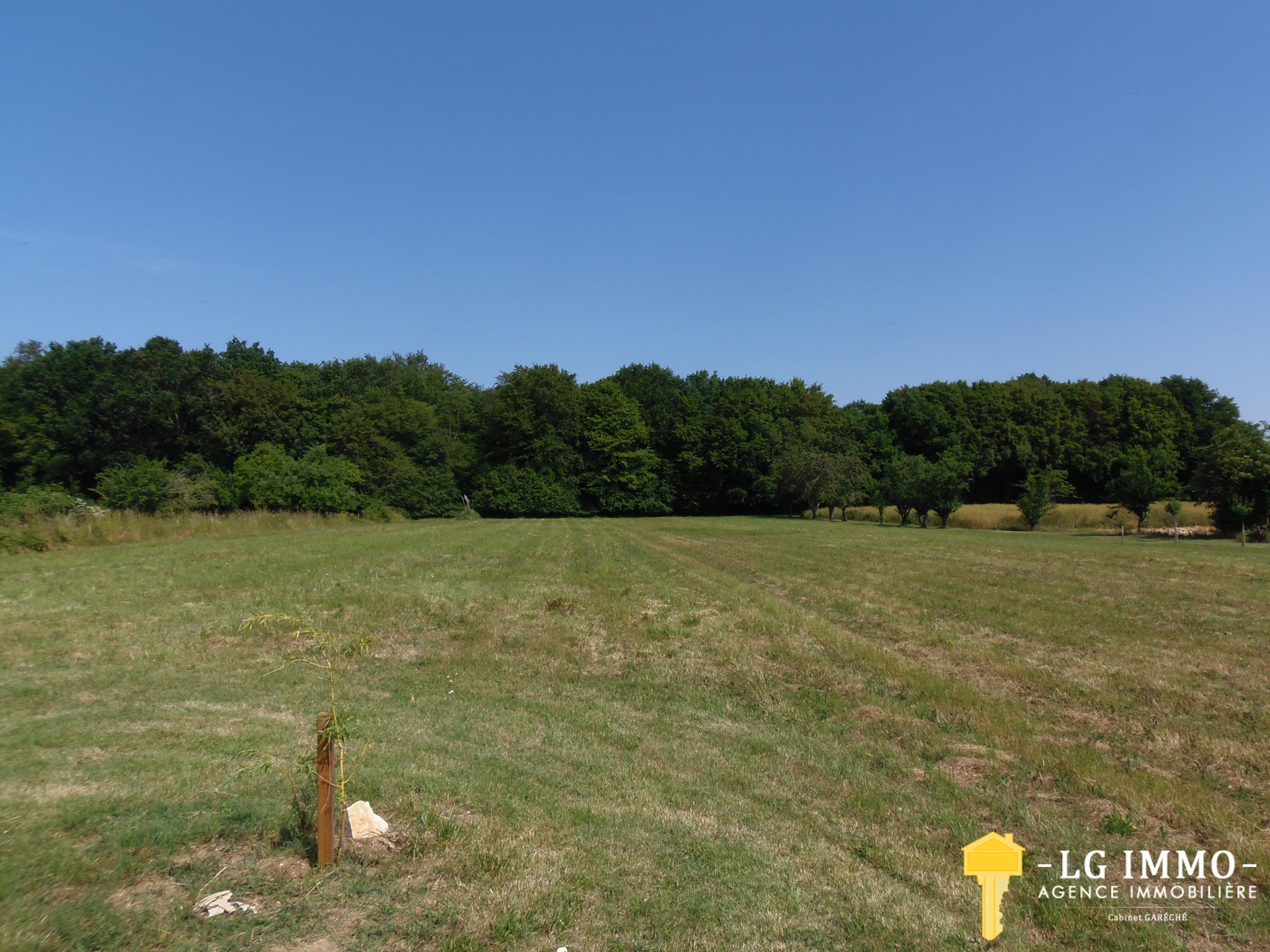 Vente Maison à Saint-Fort-sur-Gironde 5 pièces