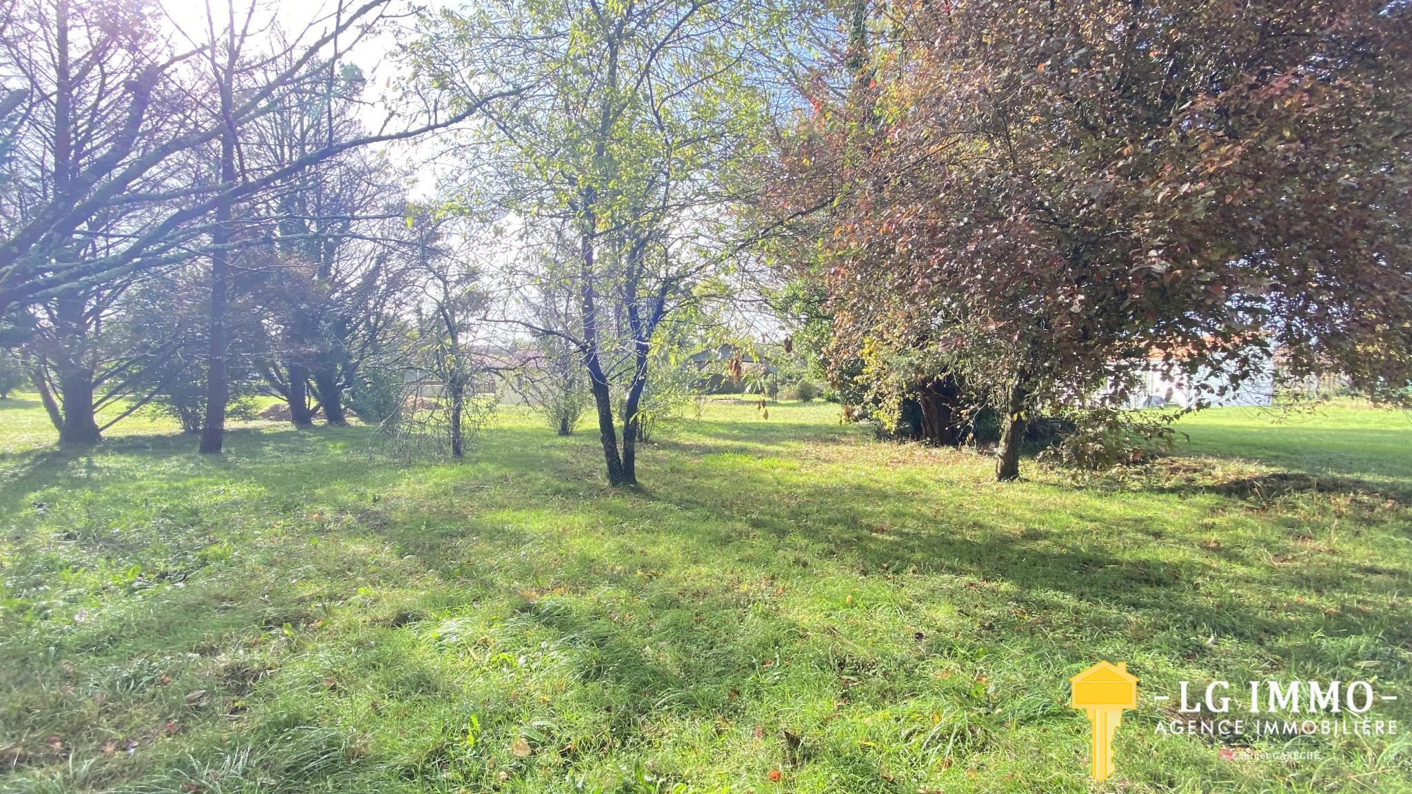 Vente Terrain à Saint-Ciers-du-Taillon 0 pièce