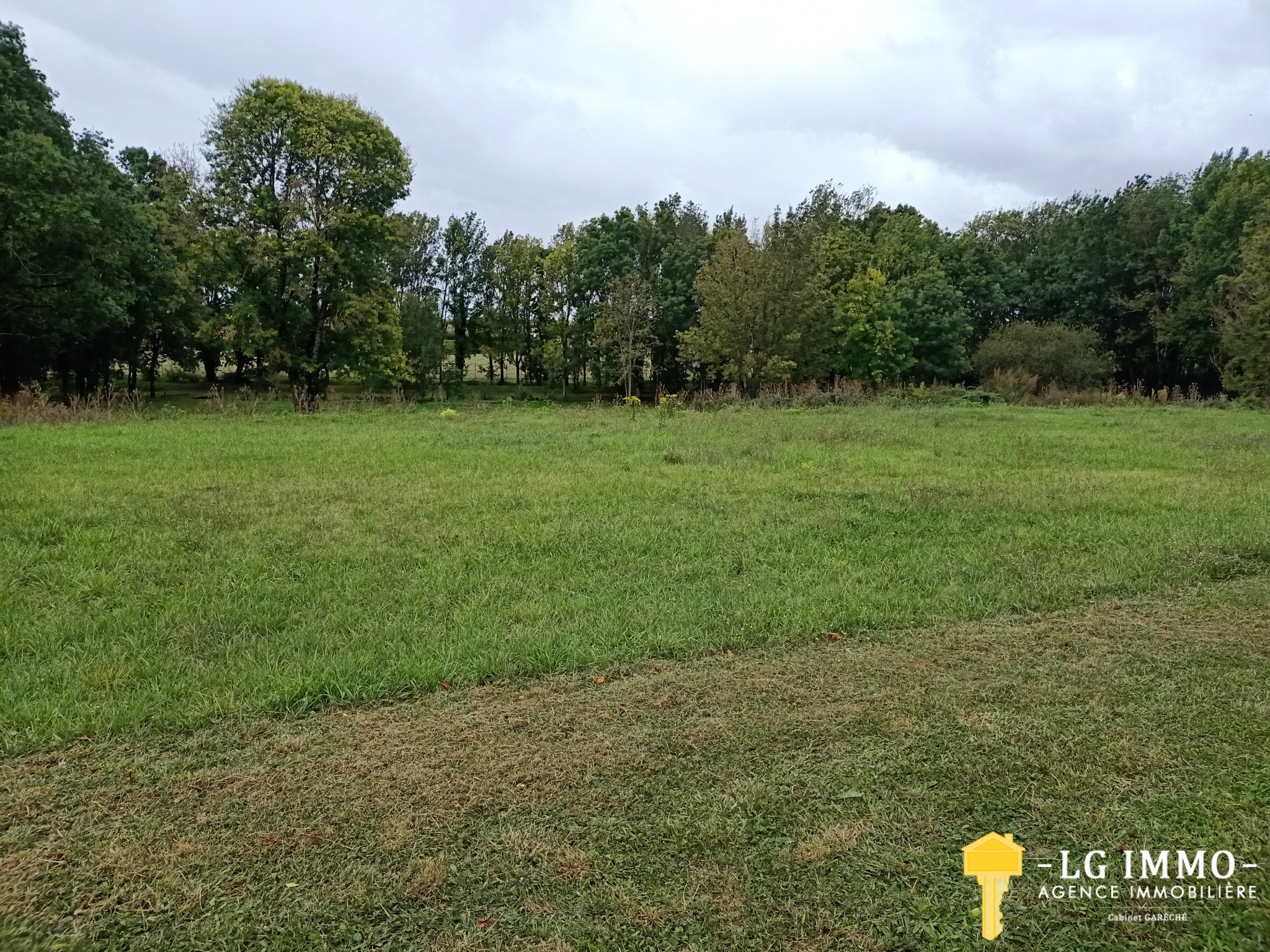 Vente Terrain à Saint-Ciers-du-Taillon 0 pièce