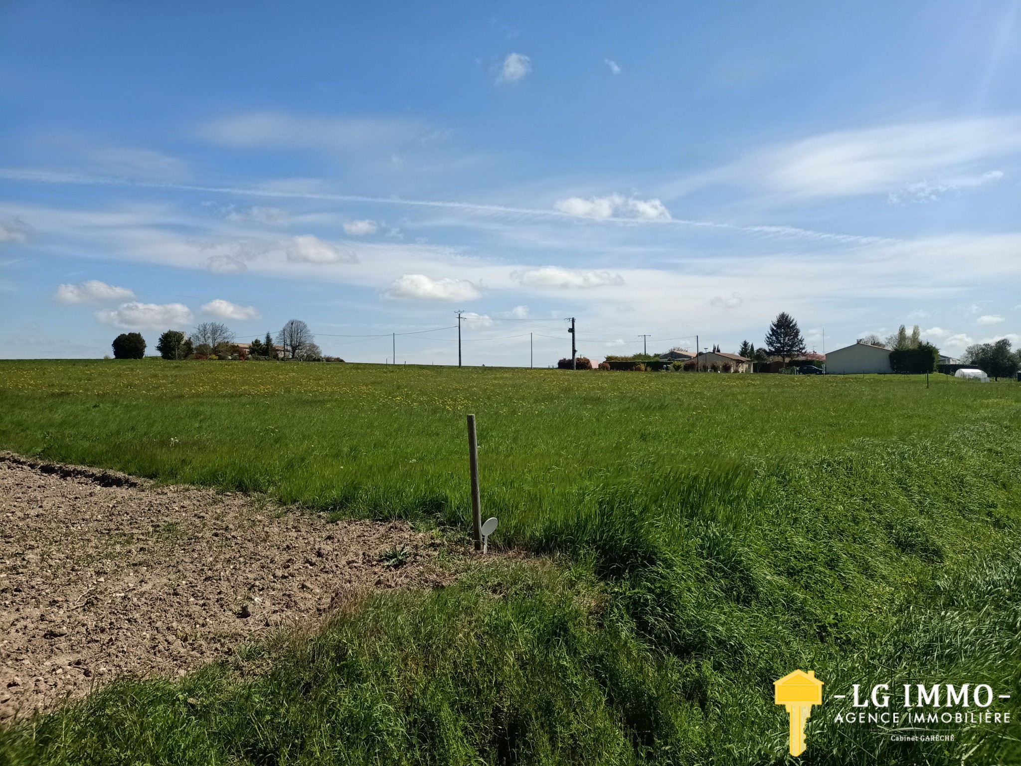 Vente Terrain à Saint-Ciers-du-Taillon 0 pièce