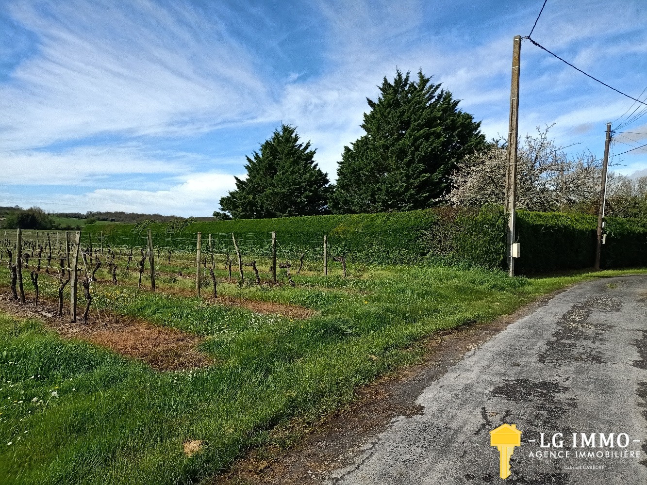 Vente Terrain à Saint-Ciers-du-Taillon 0 pièce