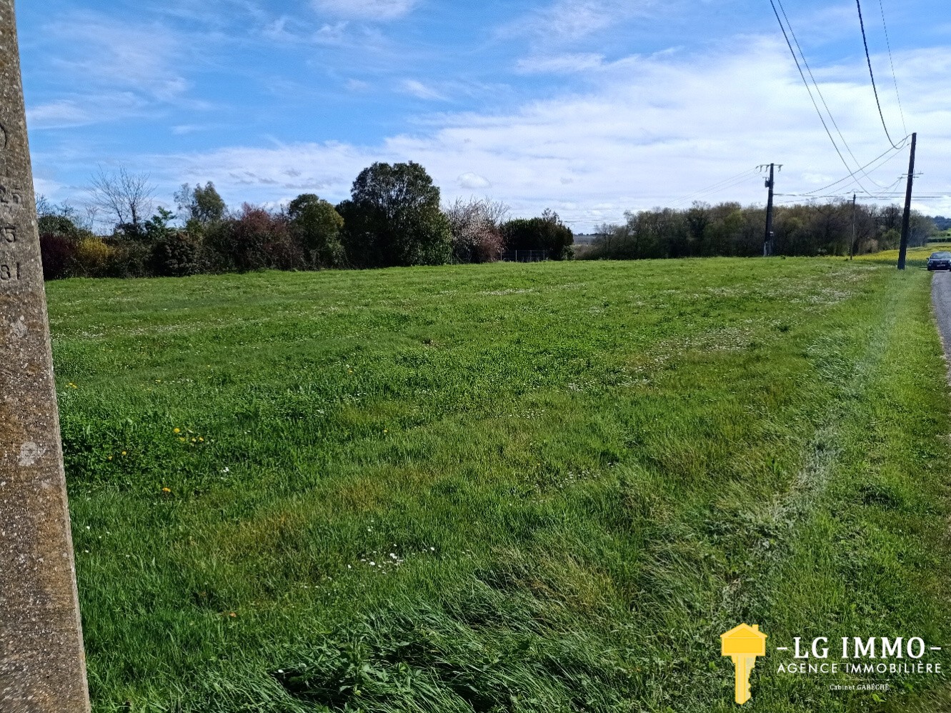 Vente Terrain à Saint-Ciers-du-Taillon 0 pièce