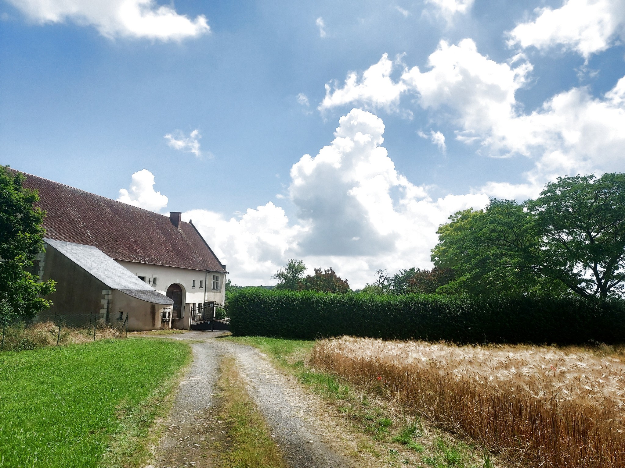 Vente Maison à Courléon 11 pièces