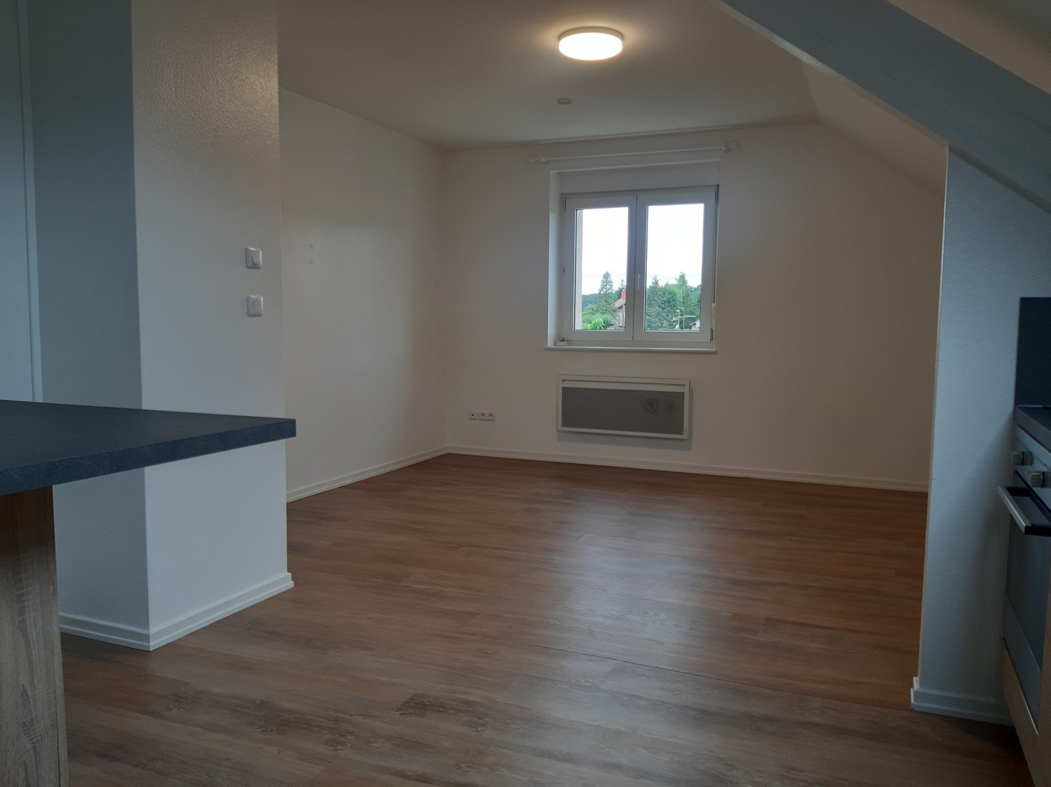 Location Appartement à Saint-Dié-des-Vosges 1 pièce