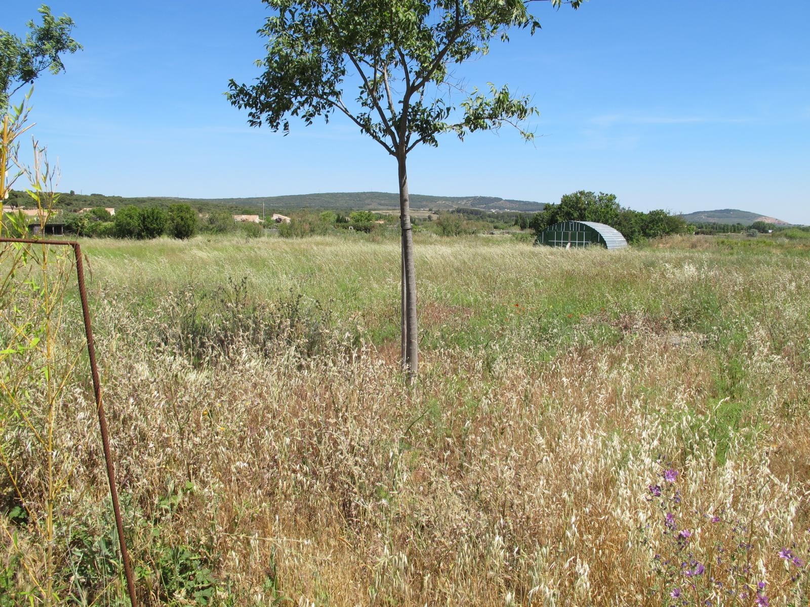 Vente Maison à Frontignan 17 pièces