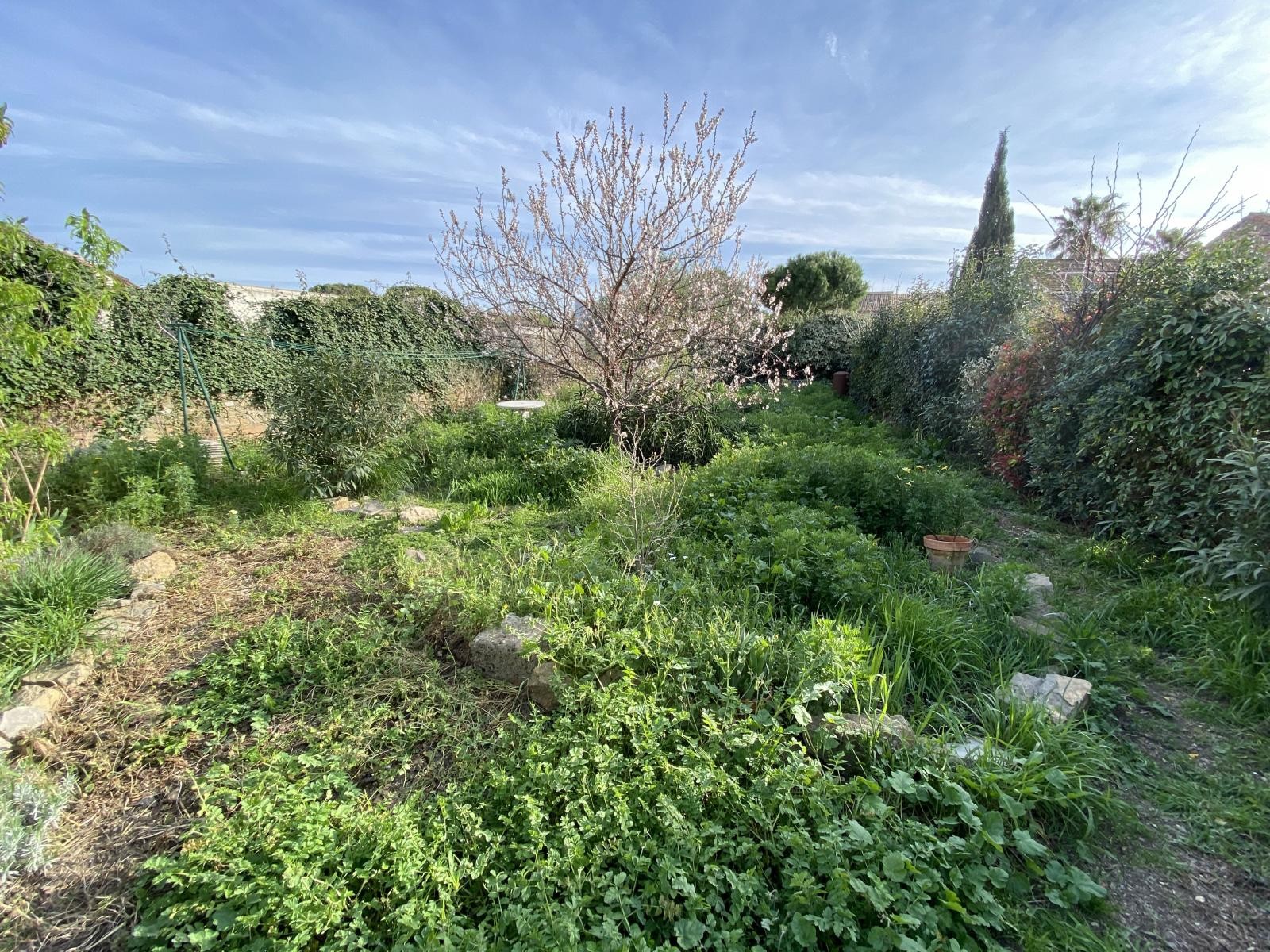 Vente Maison à Narbonne 20 pièces