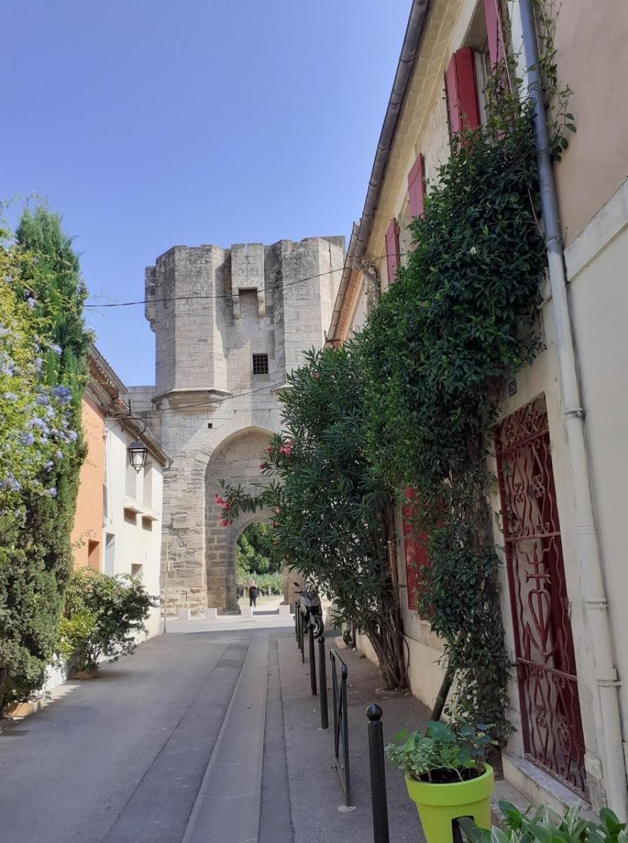 Vente Maison à Aigues-Mortes 6 pièces