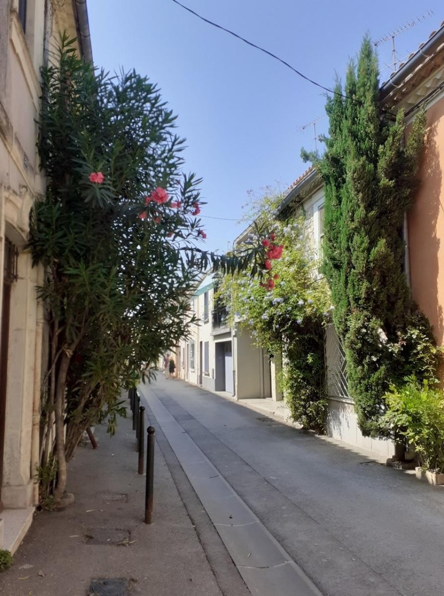 Vente Maison à Aigues-Mortes 6 pièces