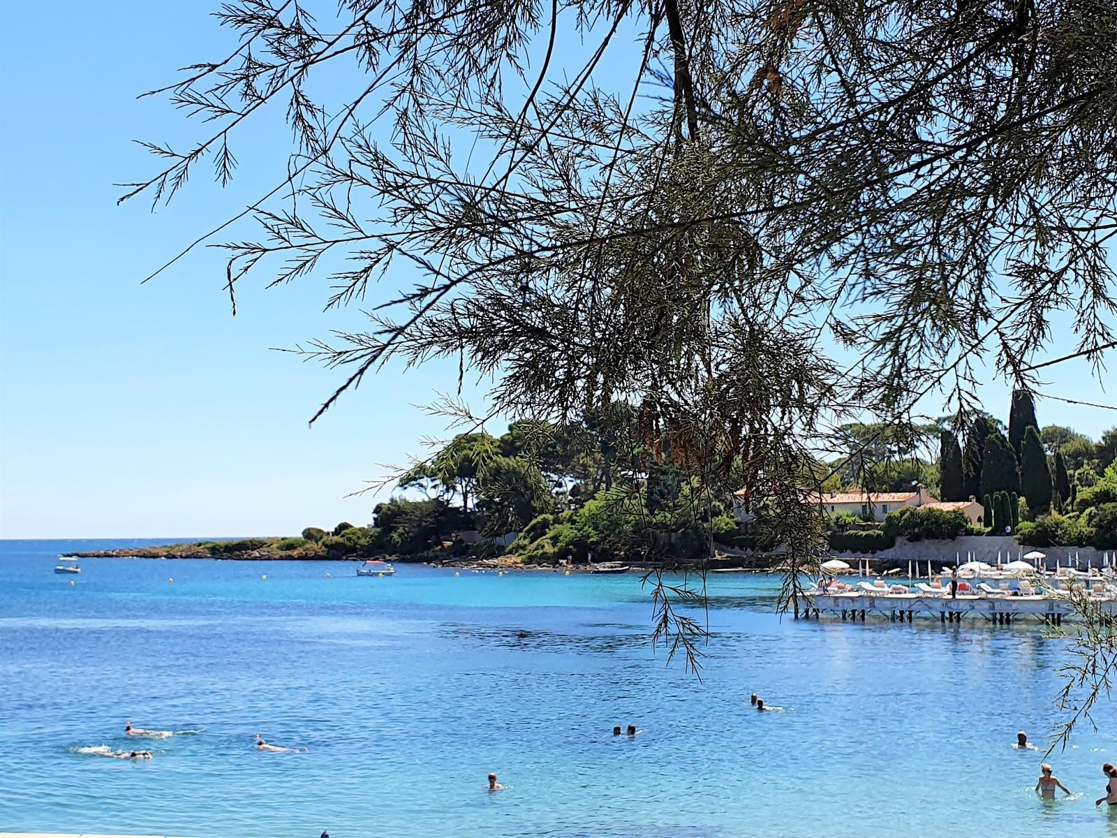 Vente Appartement à Antibes 1 pièce