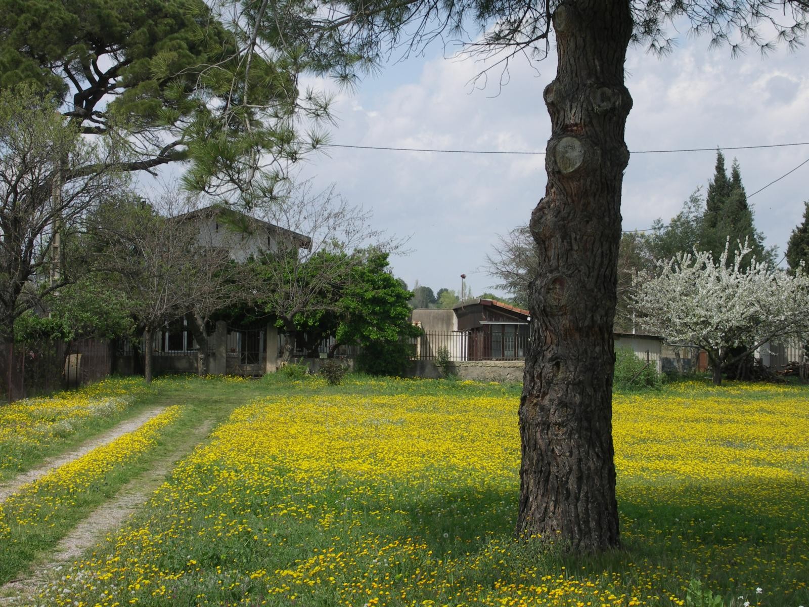 Vente Maison à Pézenas 5 pièces