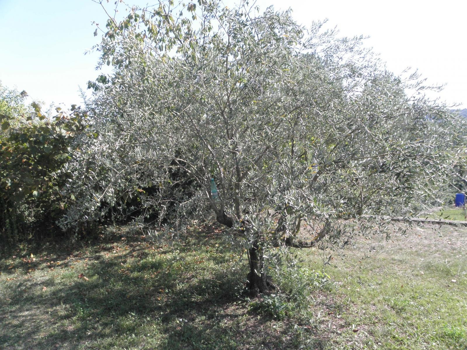 Viager Maison à Alès 4 pièces