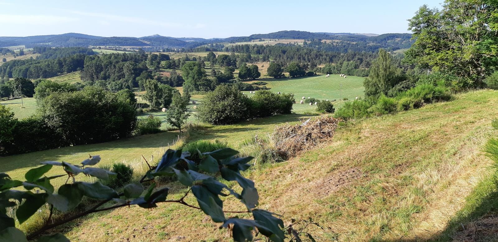 Vente Maison à Malbouzon 5 pièces