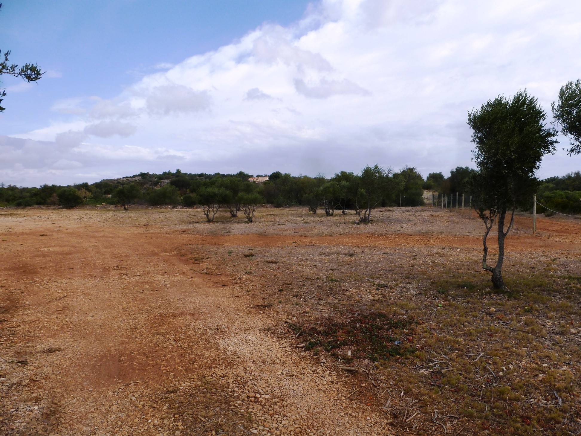 Vente Terrain à Fitou 0 pièce