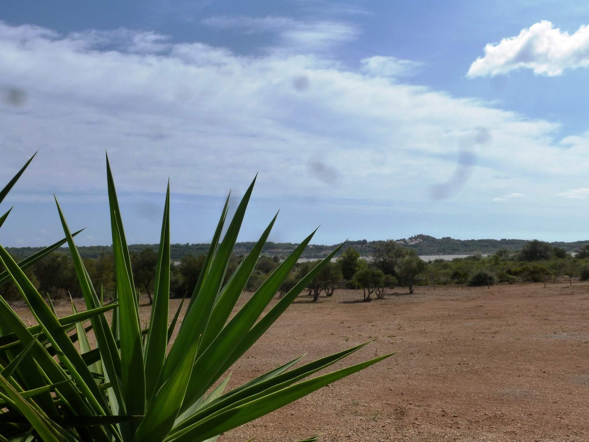 Vente Terrain à Fitou 0 pièce