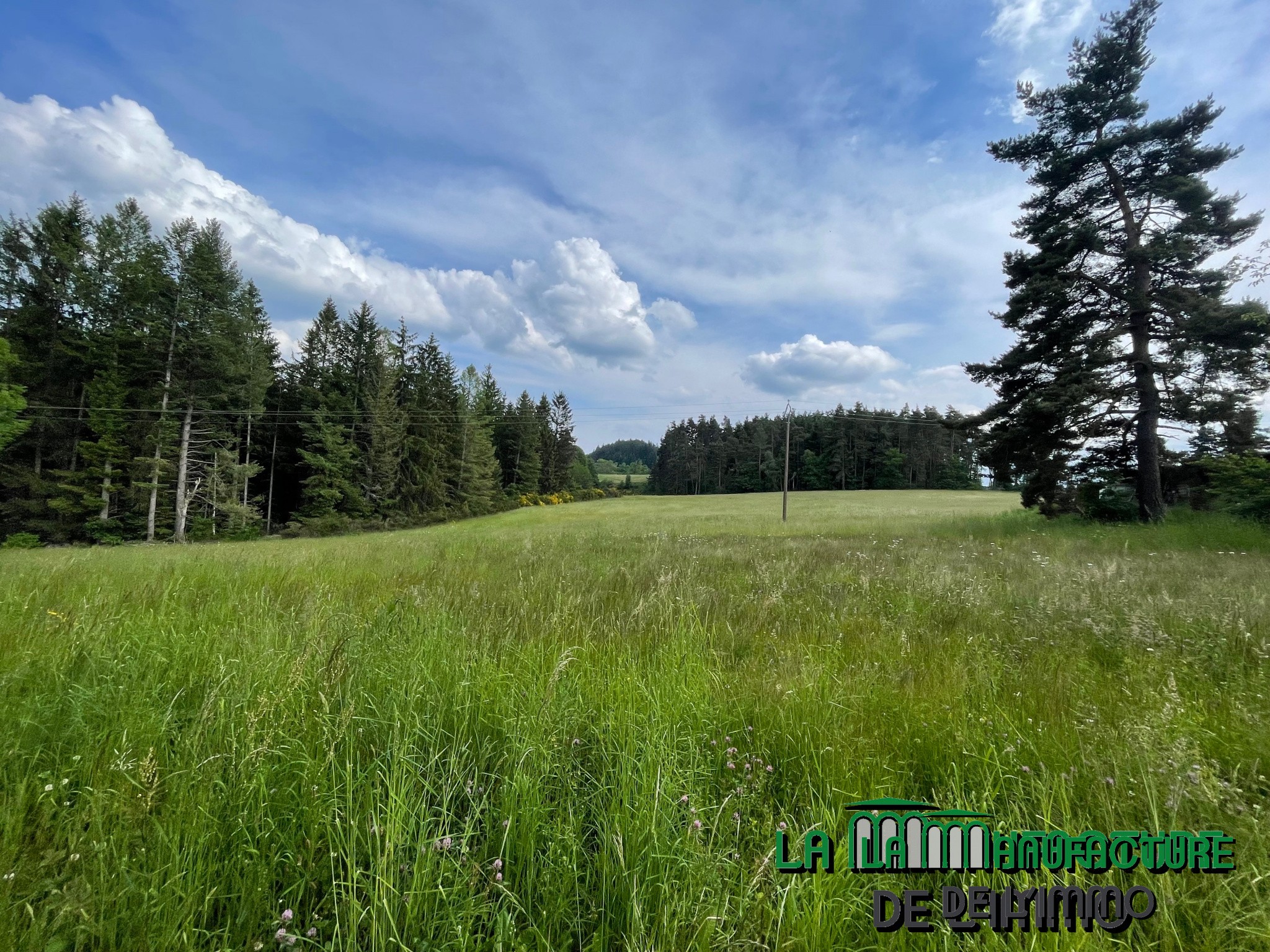 Vente Terrain à Dunières 0 pièce