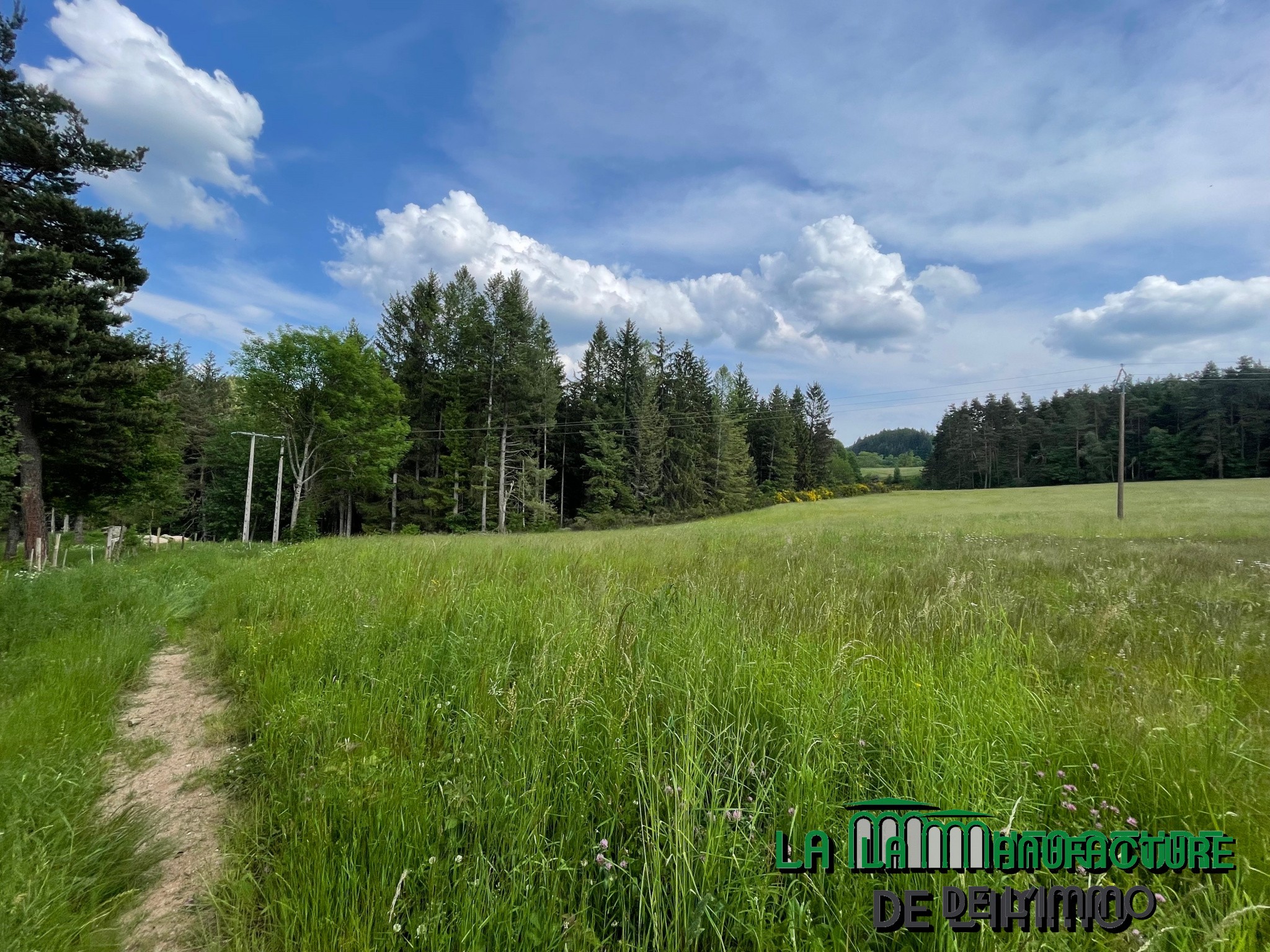 Vente Terrain à Dunières 0 pièce