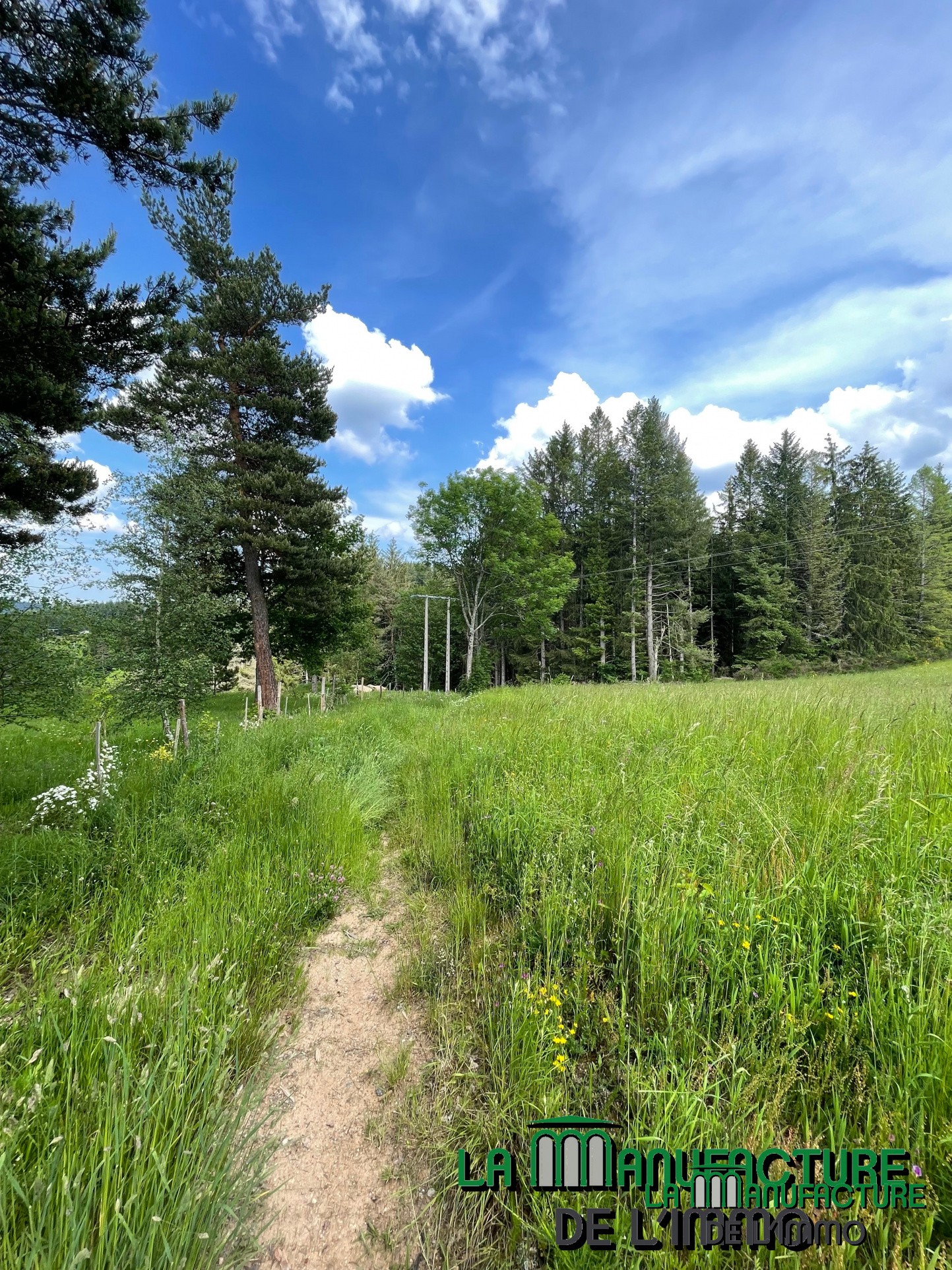 Vente Terrain à Dunières 0 pièce