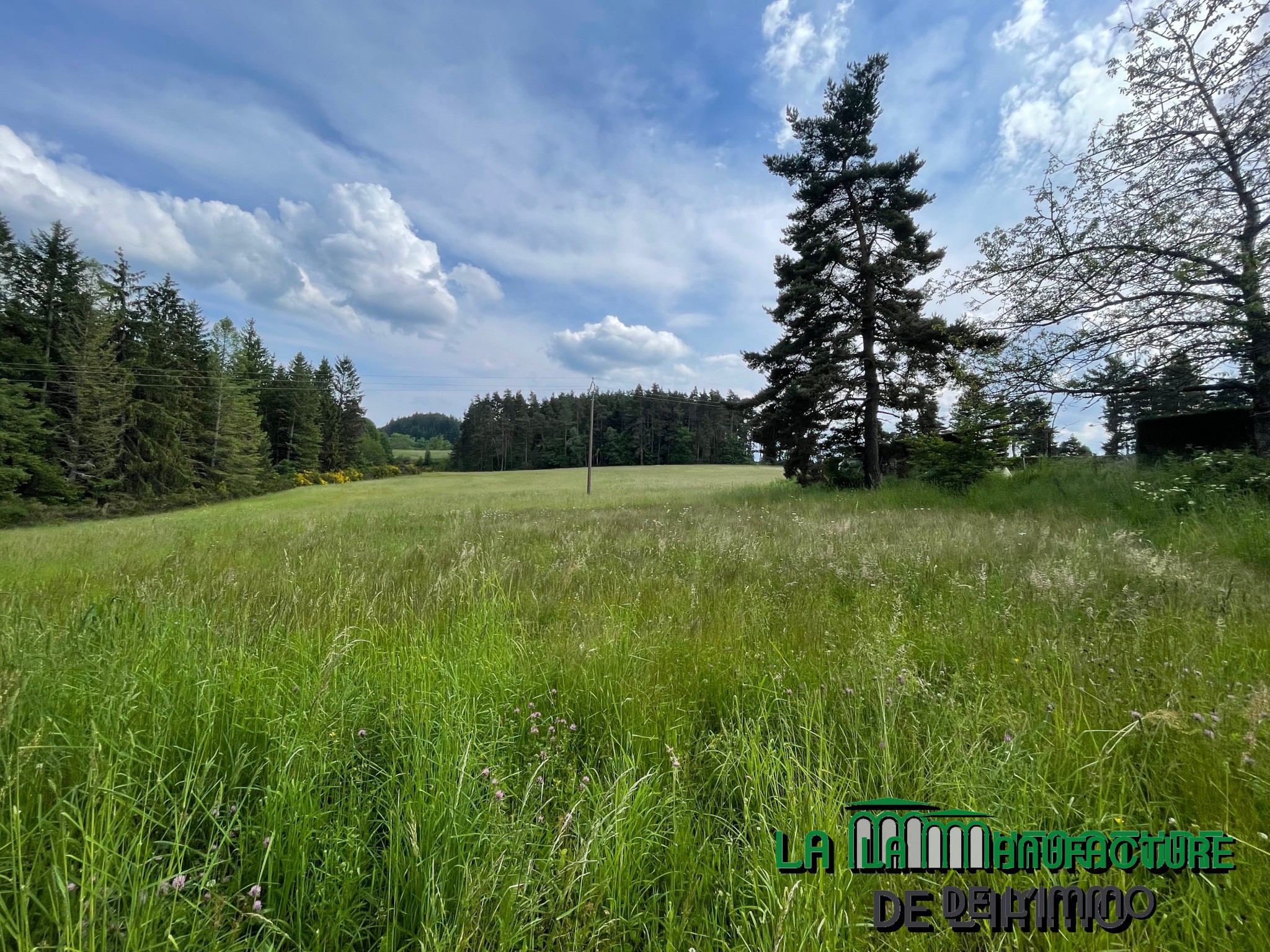 Vente Terrain à Dunières 0 pièce