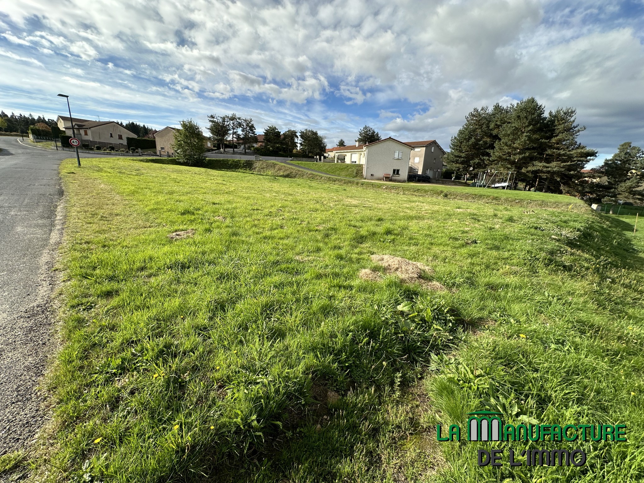 Vente Terrain à Montfaucon-en-Velay 0 pièce