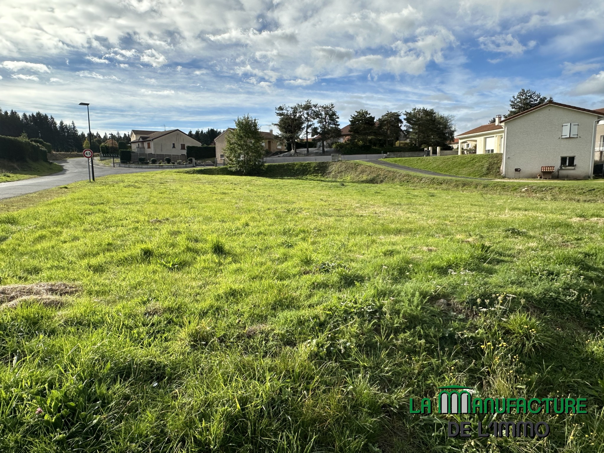 Vente Terrain à Montfaucon-en-Velay 0 pièce