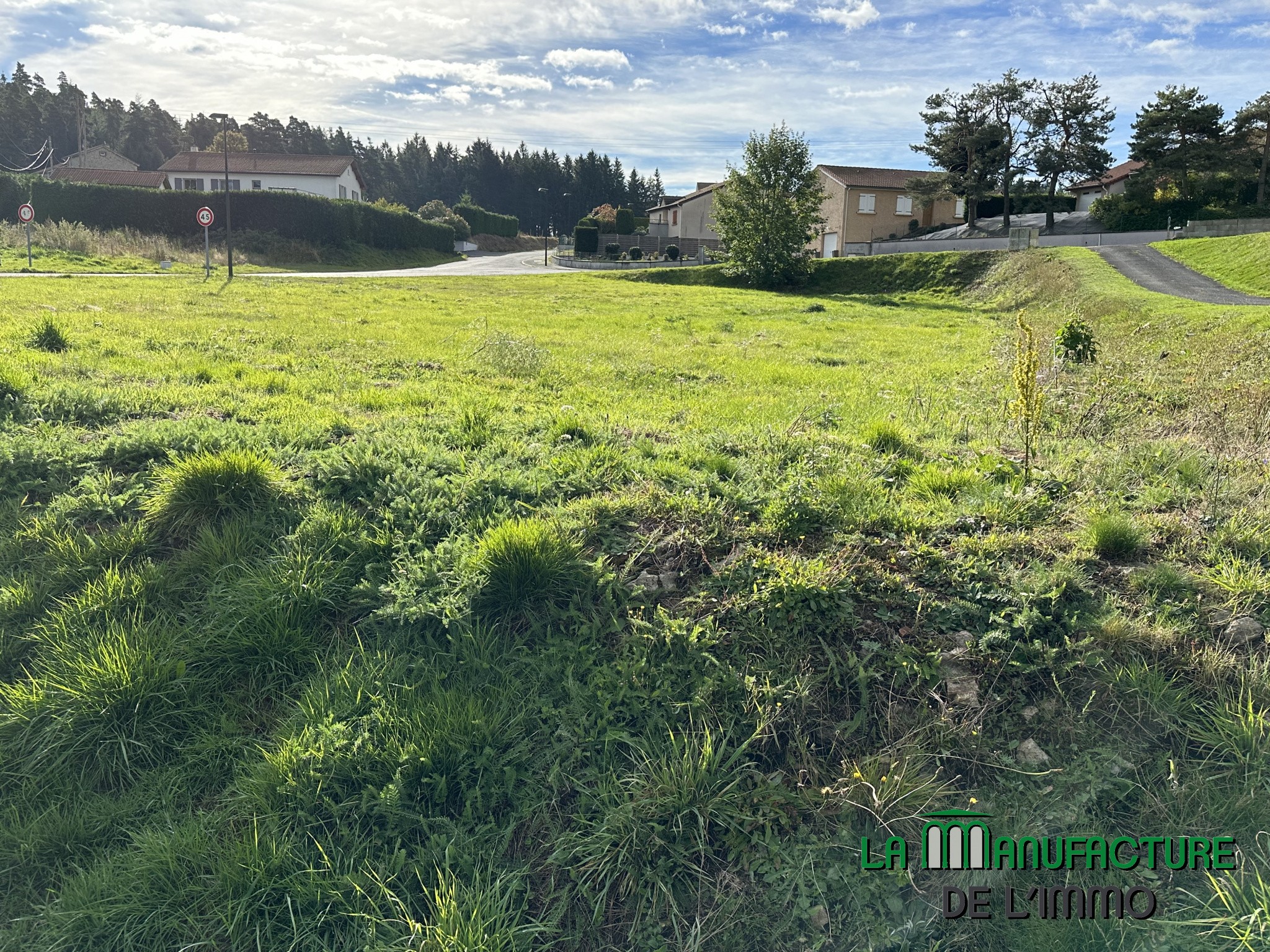 Vente Terrain à Montfaucon-en-Velay 0 pièce