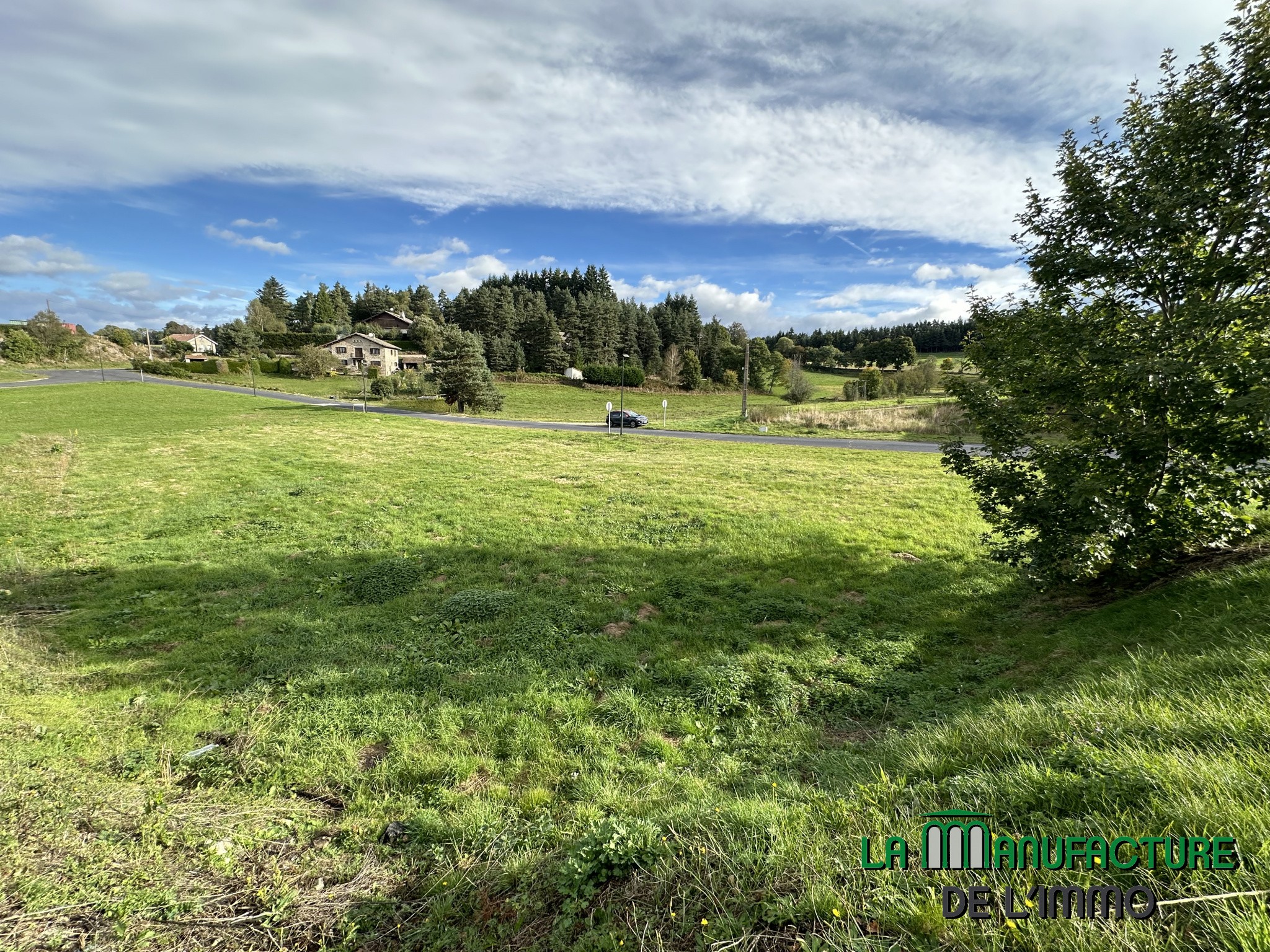 Vente Terrain à Montfaucon-en-Velay 0 pièce