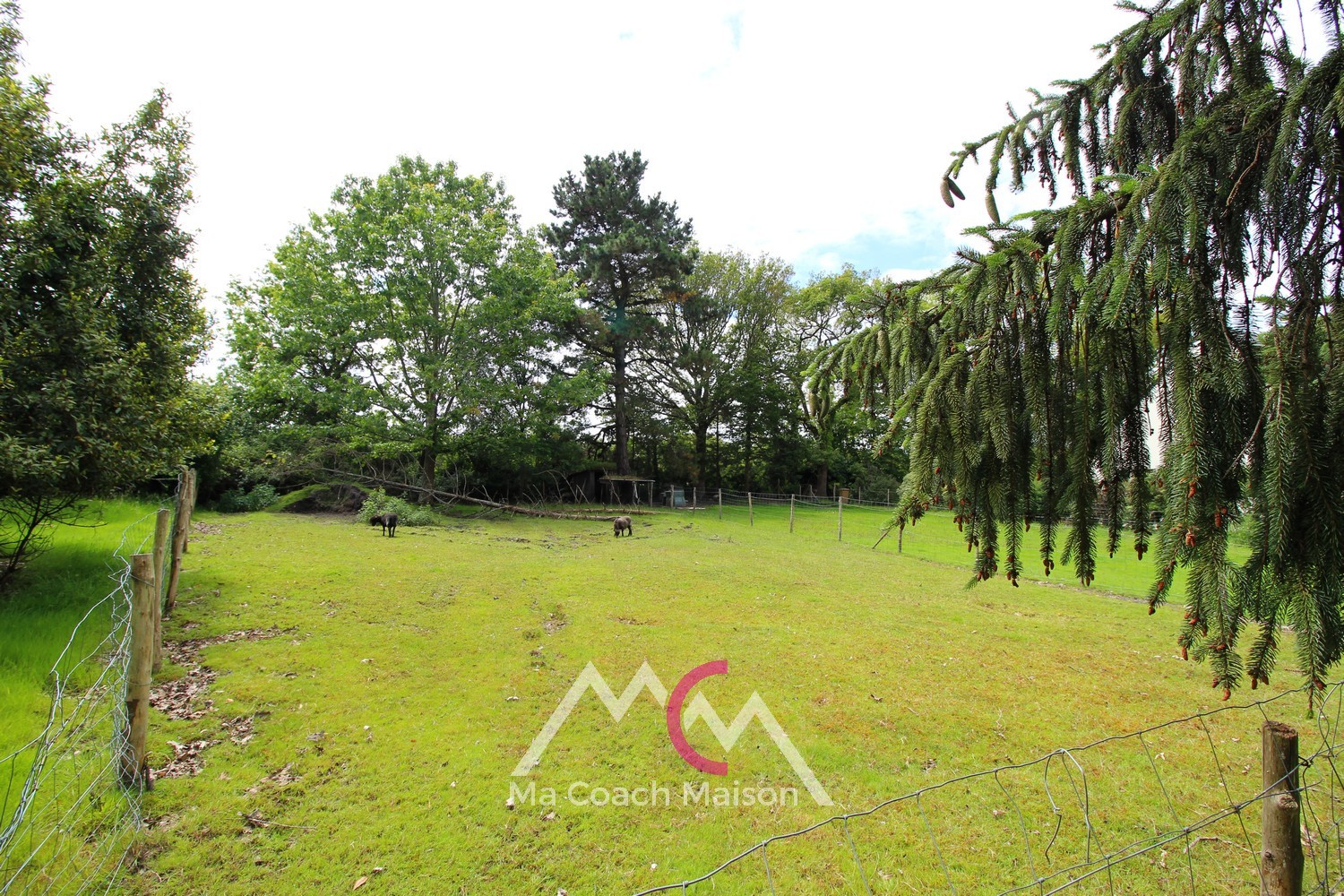 Vente Terrain à la Chapelle-des-Marais 0 pièce