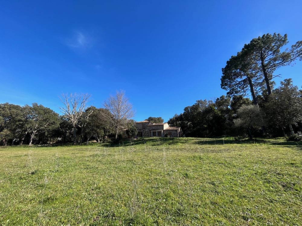 Vente Maison à Porto-Vecchio 5 pièces