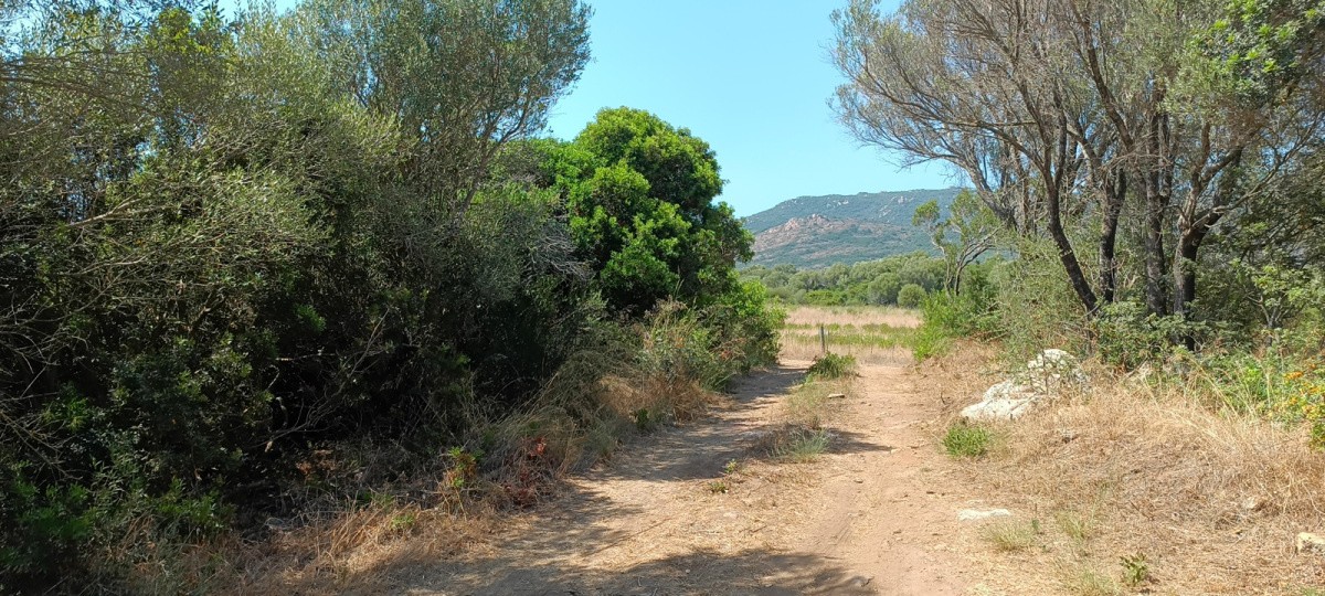 Vente Terrain à Pianottoli-Caldarello 0 pièce