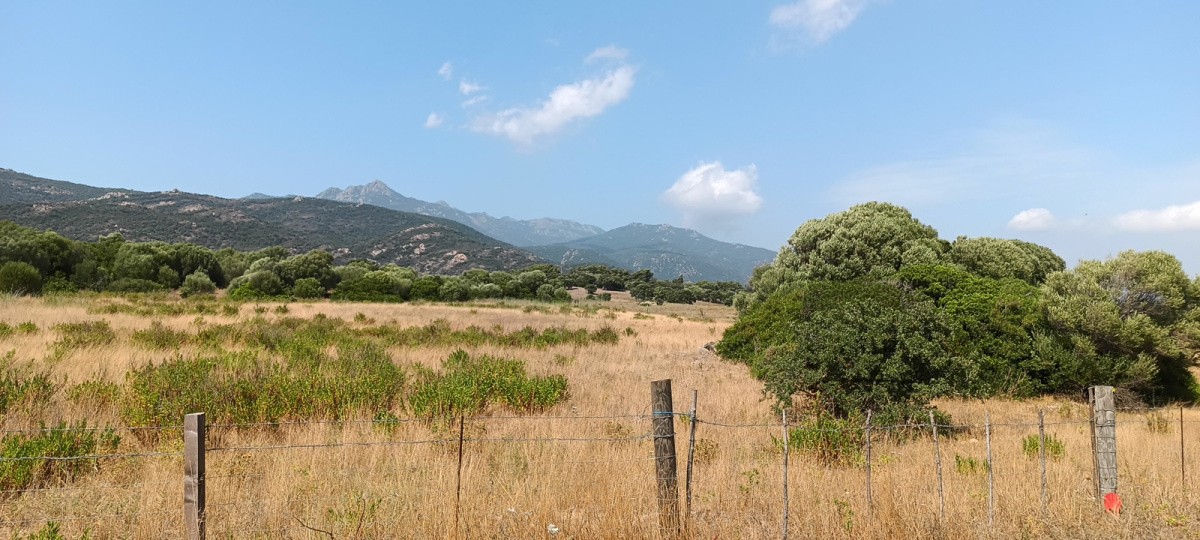 Vente Terrain à Pianottoli-Caldarello 0 pièce