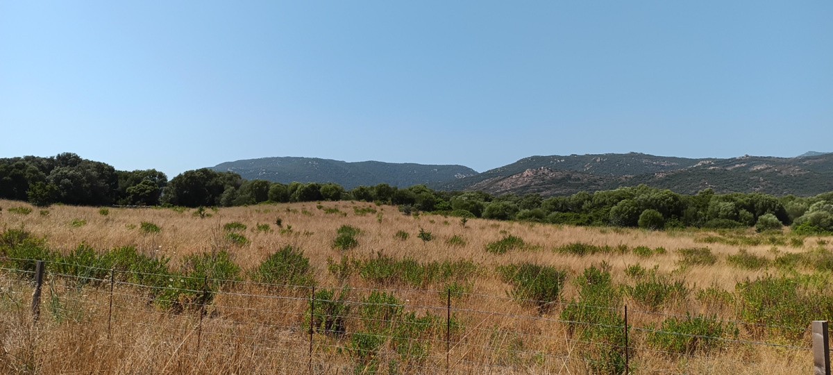 Vente Terrain à Pianottoli-Caldarello 0 pièce