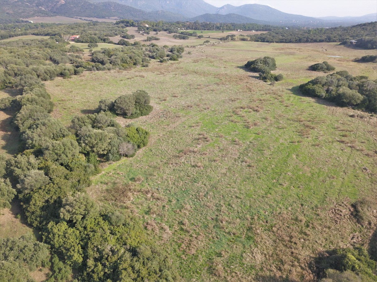 Vente Terrain à Pianottoli-Caldarello 0 pièce