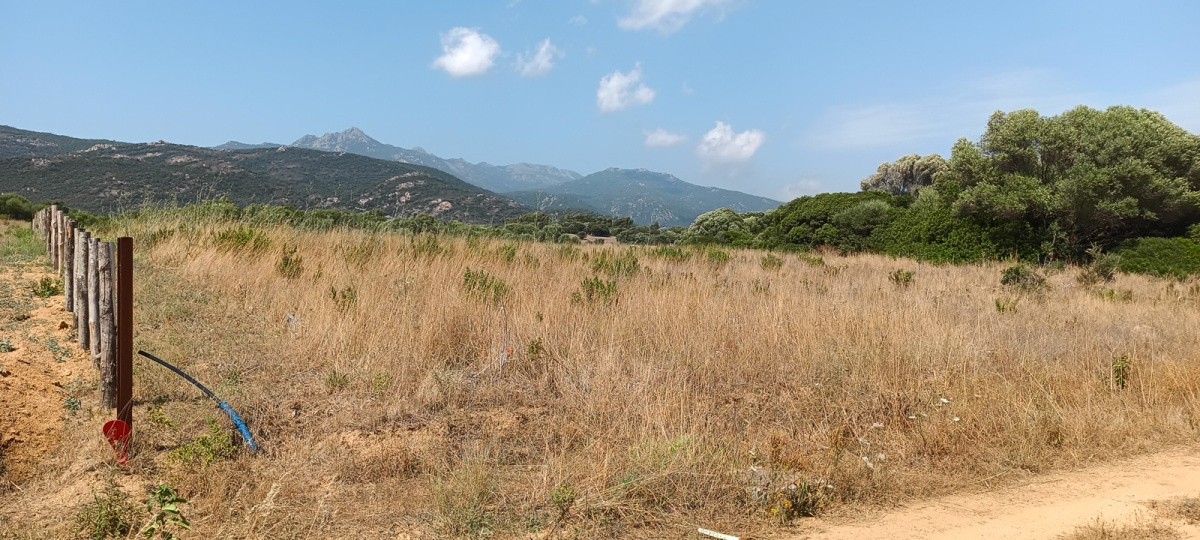 Vente Terrain à Pianottoli-Caldarello 0 pièce