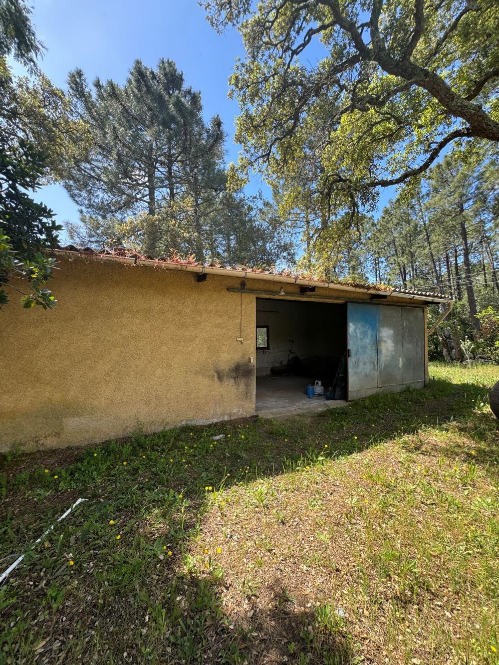 Vente Maison à Porto-Vecchio 5 pièces