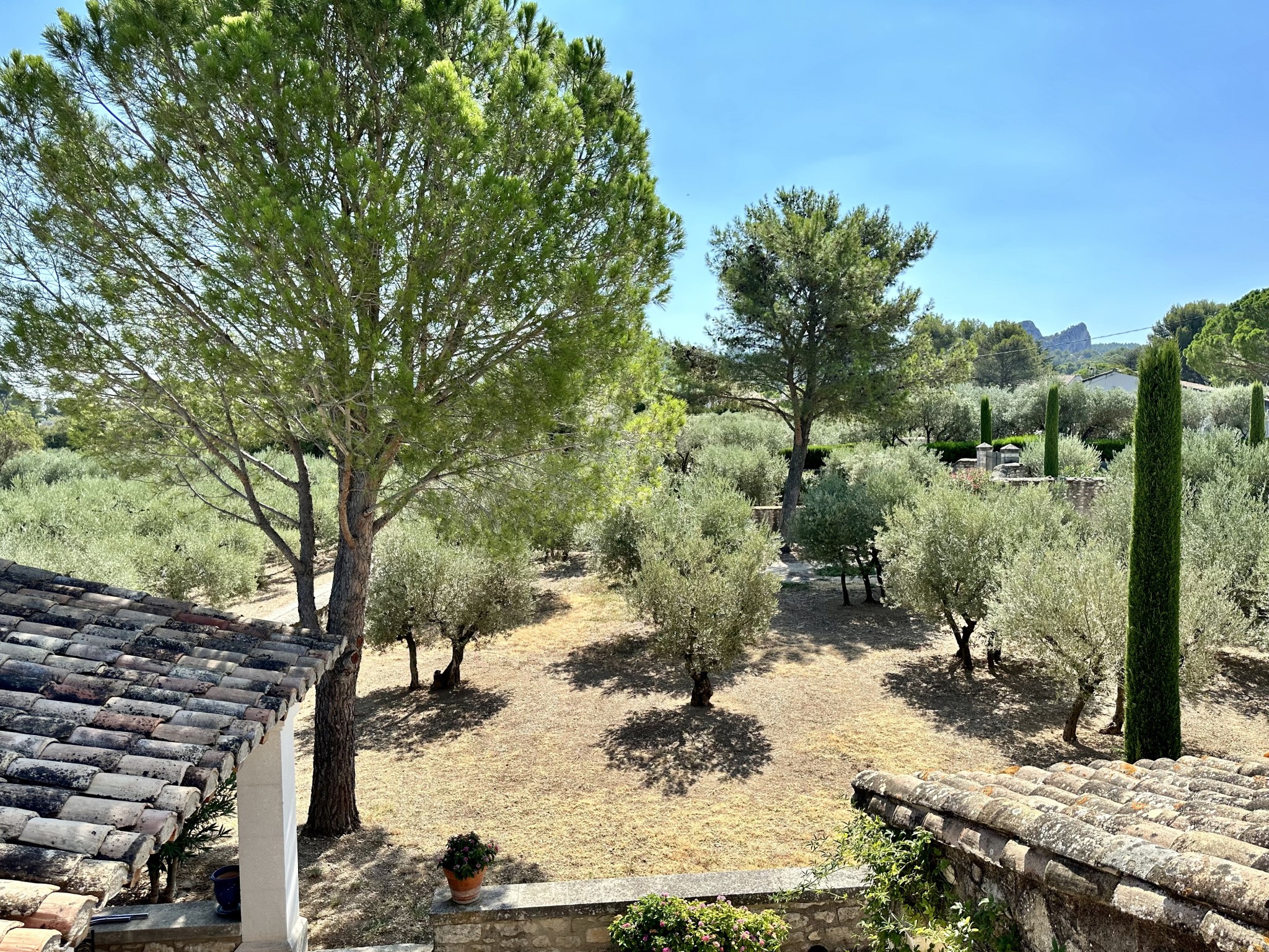 Vente Maison à Saint-Rémy-de-Provence 5 pièces