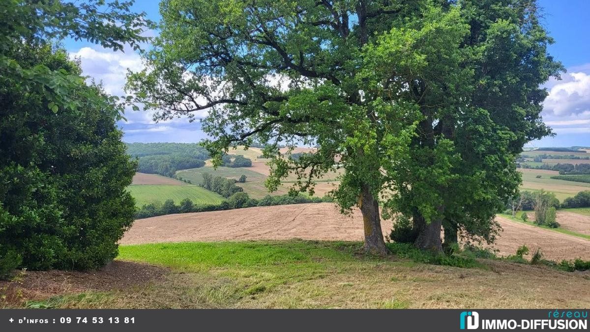 Vente Terrain à Beaumont-de-Lomagne 1 pièce