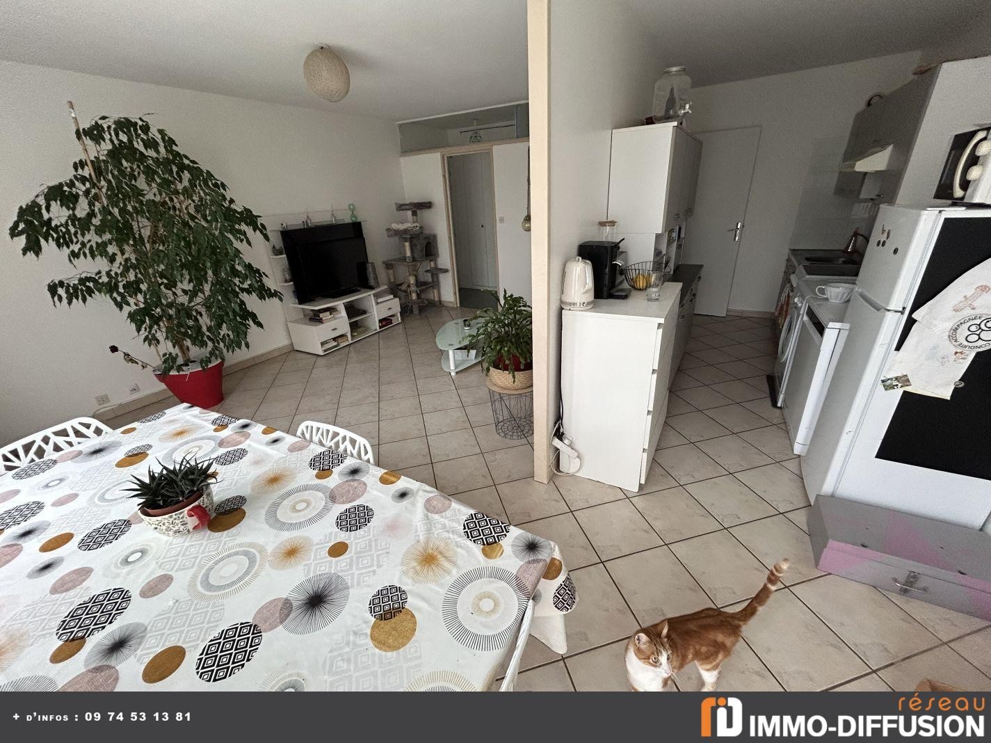 Vente Appartement à Longvic 4 pièces